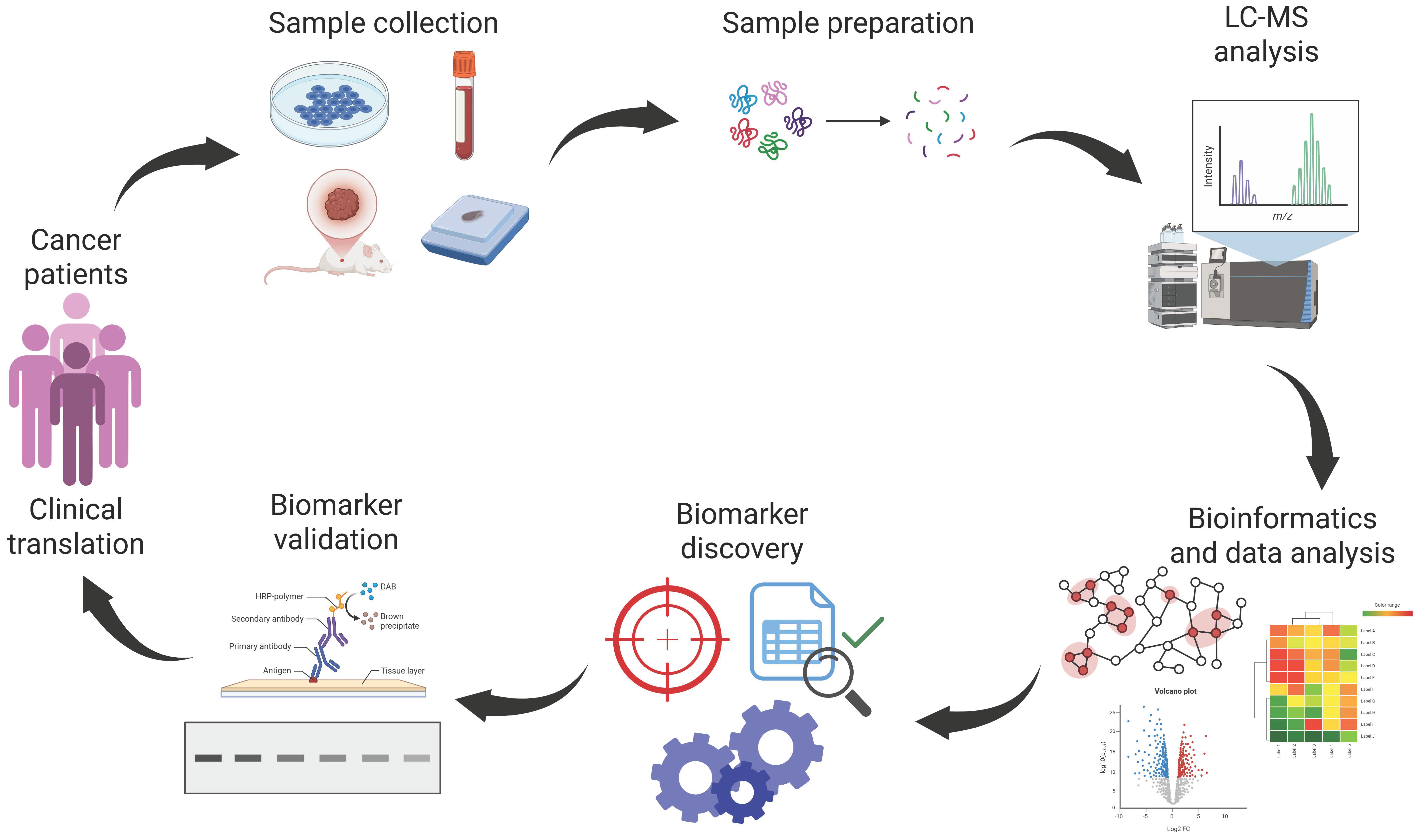 Proteomes 13 00025 g002 Proteomes 13 00025 g002
