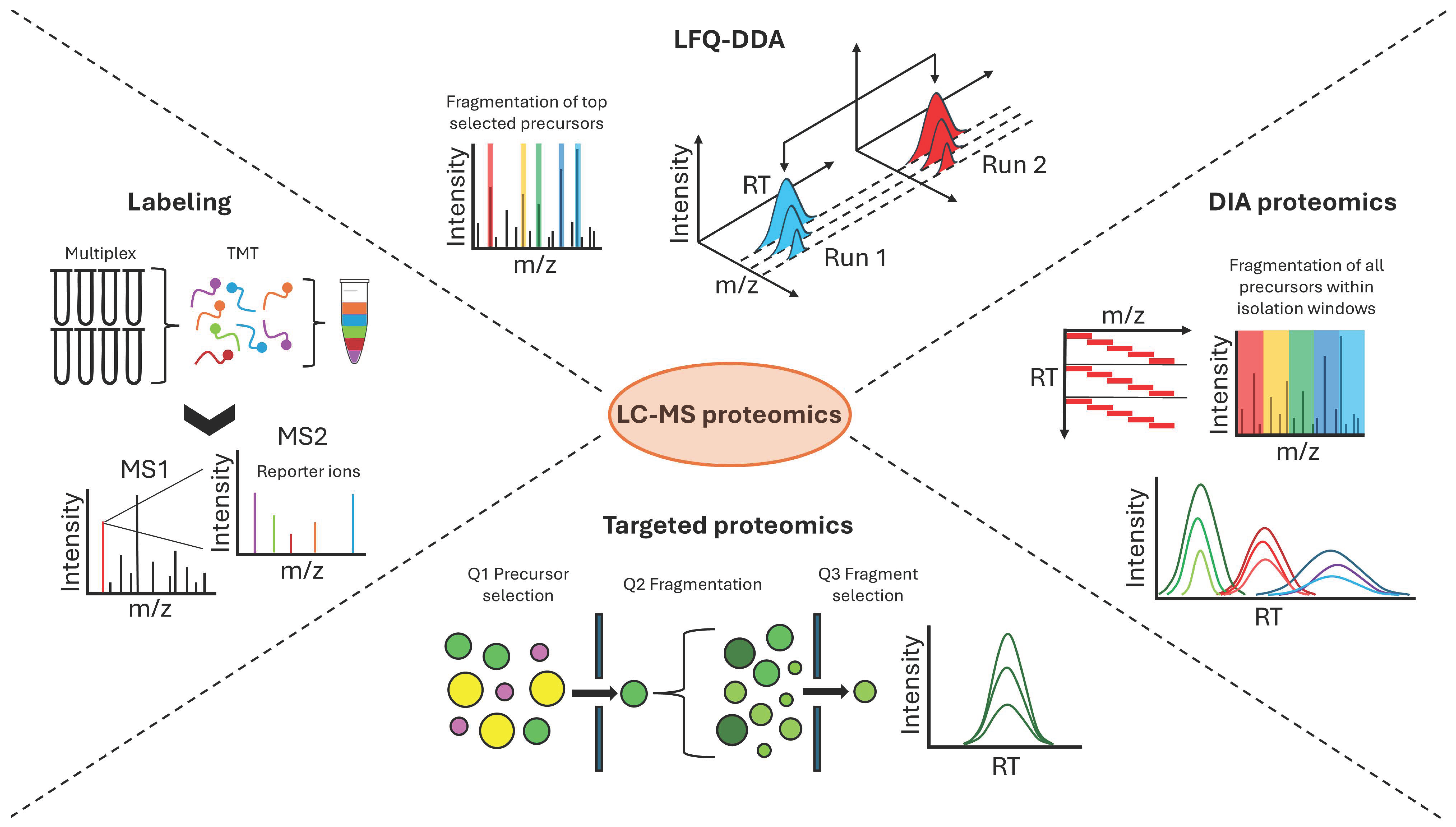 Proteomes 13 00025 g003 Proteomes 13 00025 g003