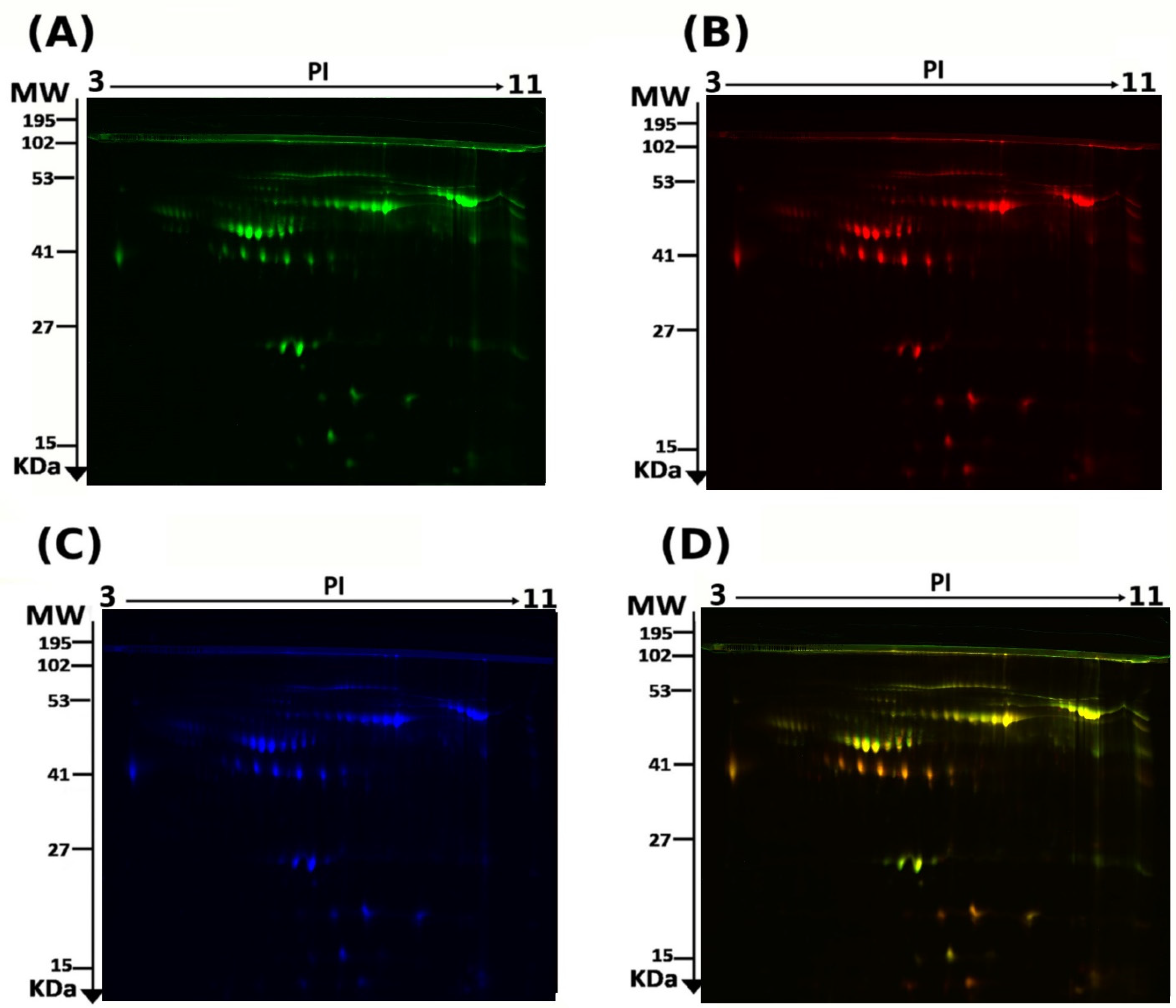 Proteomes 13 00032 g001