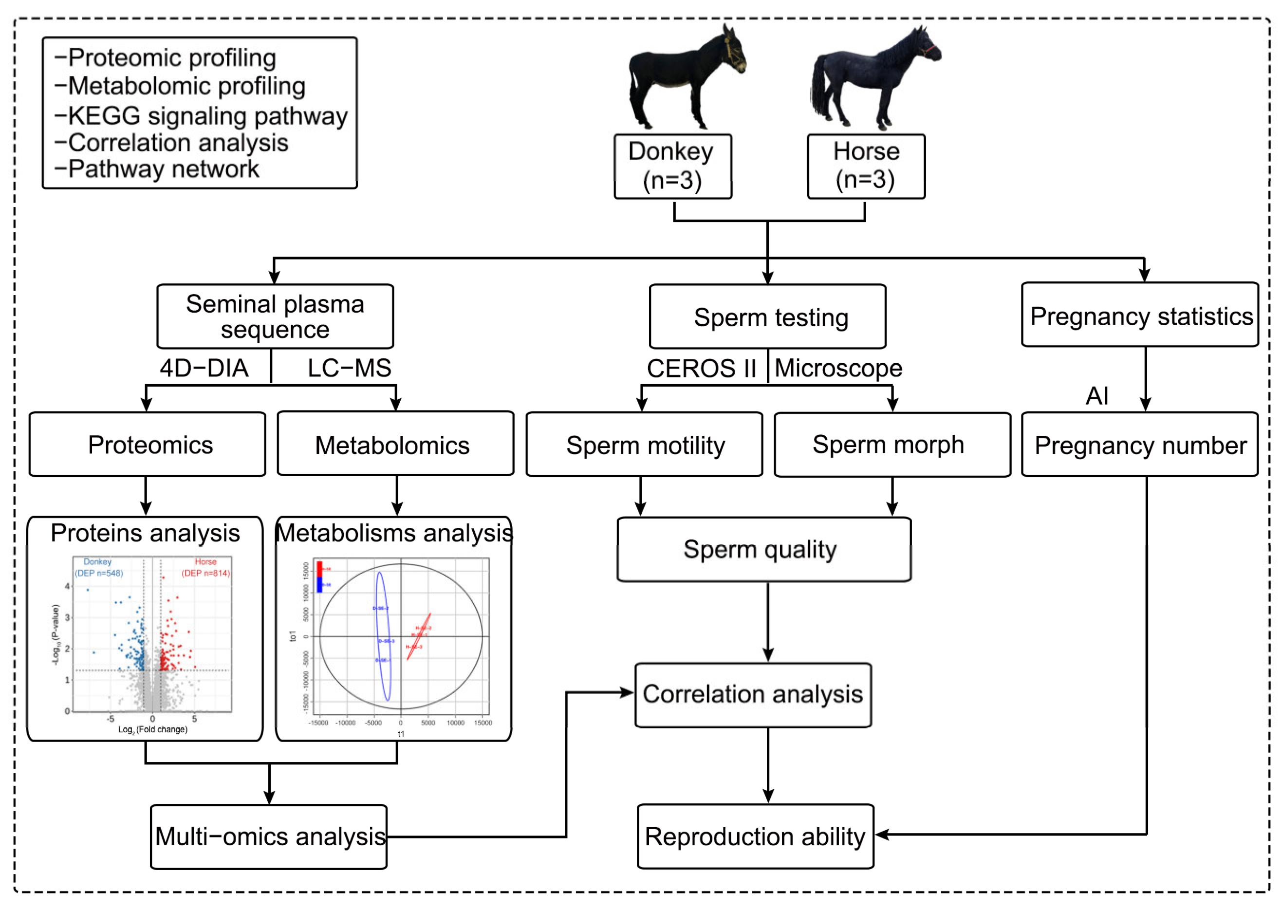 Proteomes 13 00033 sch001