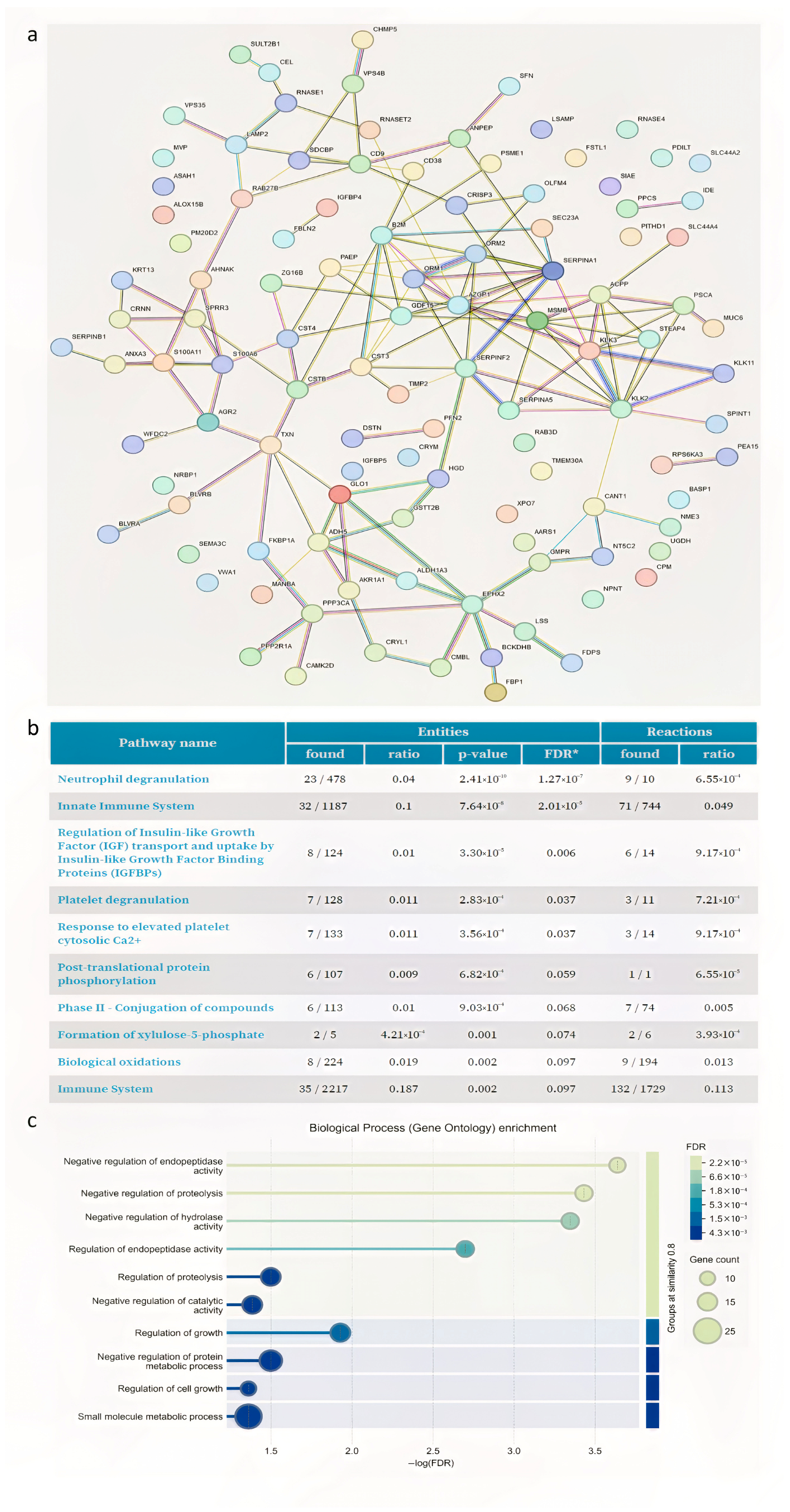 Proteomes 13 00034 g004
