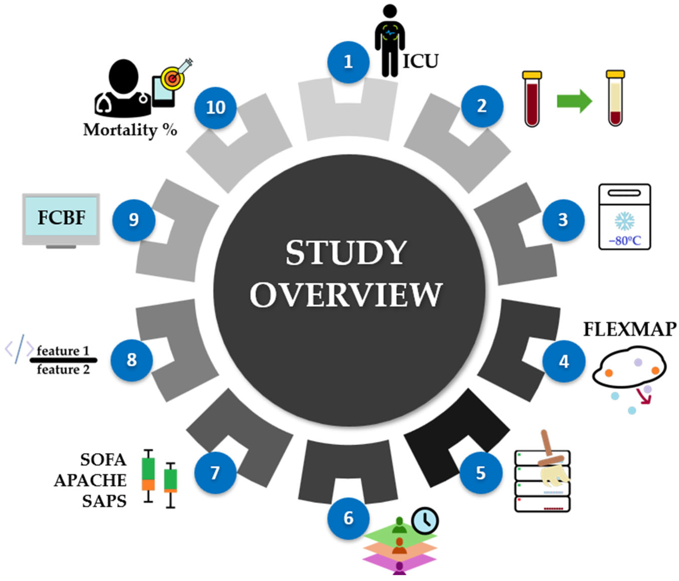 Proteomes 13 00035 g001
