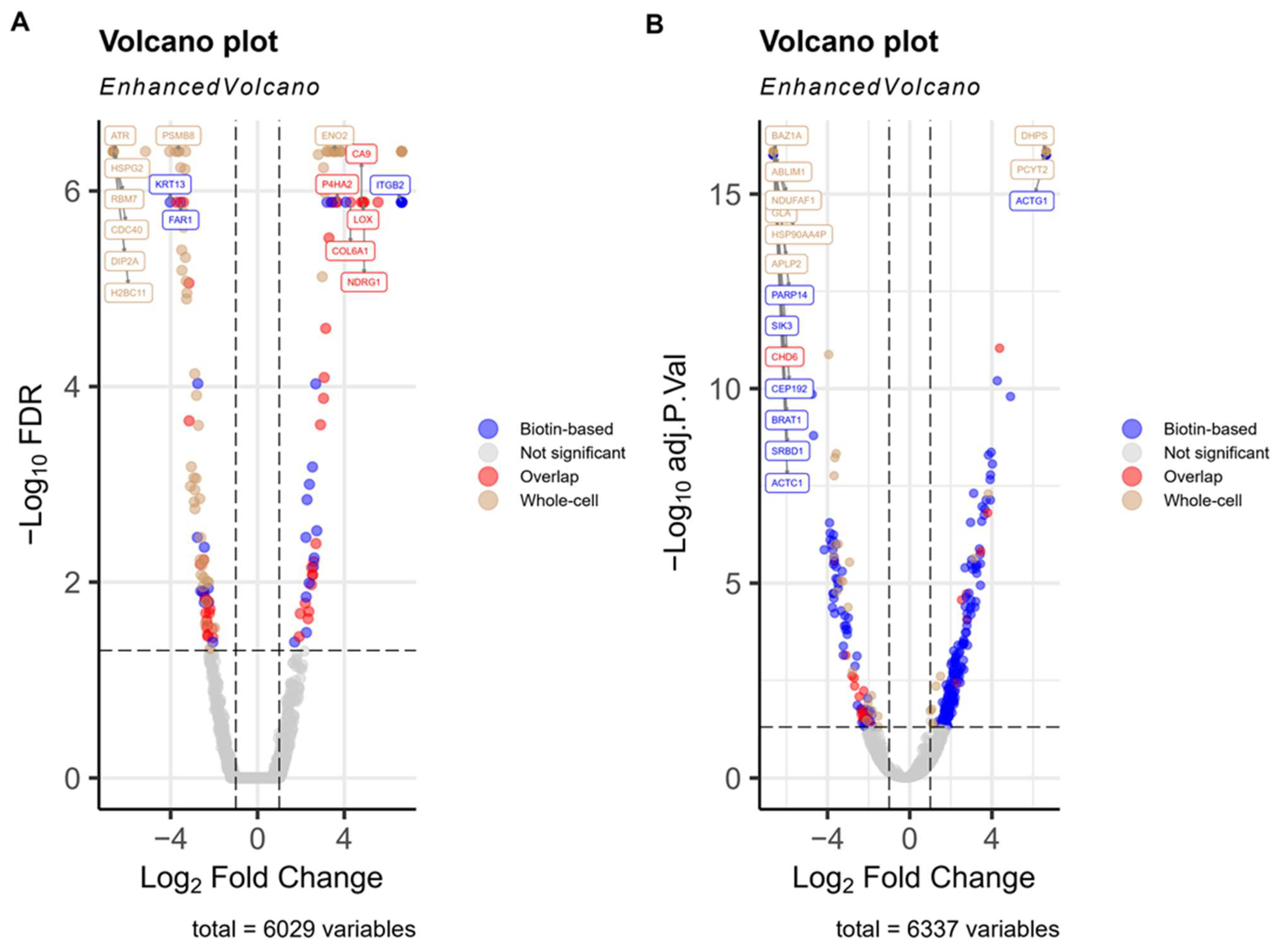 Proteomes 13 00036 g001