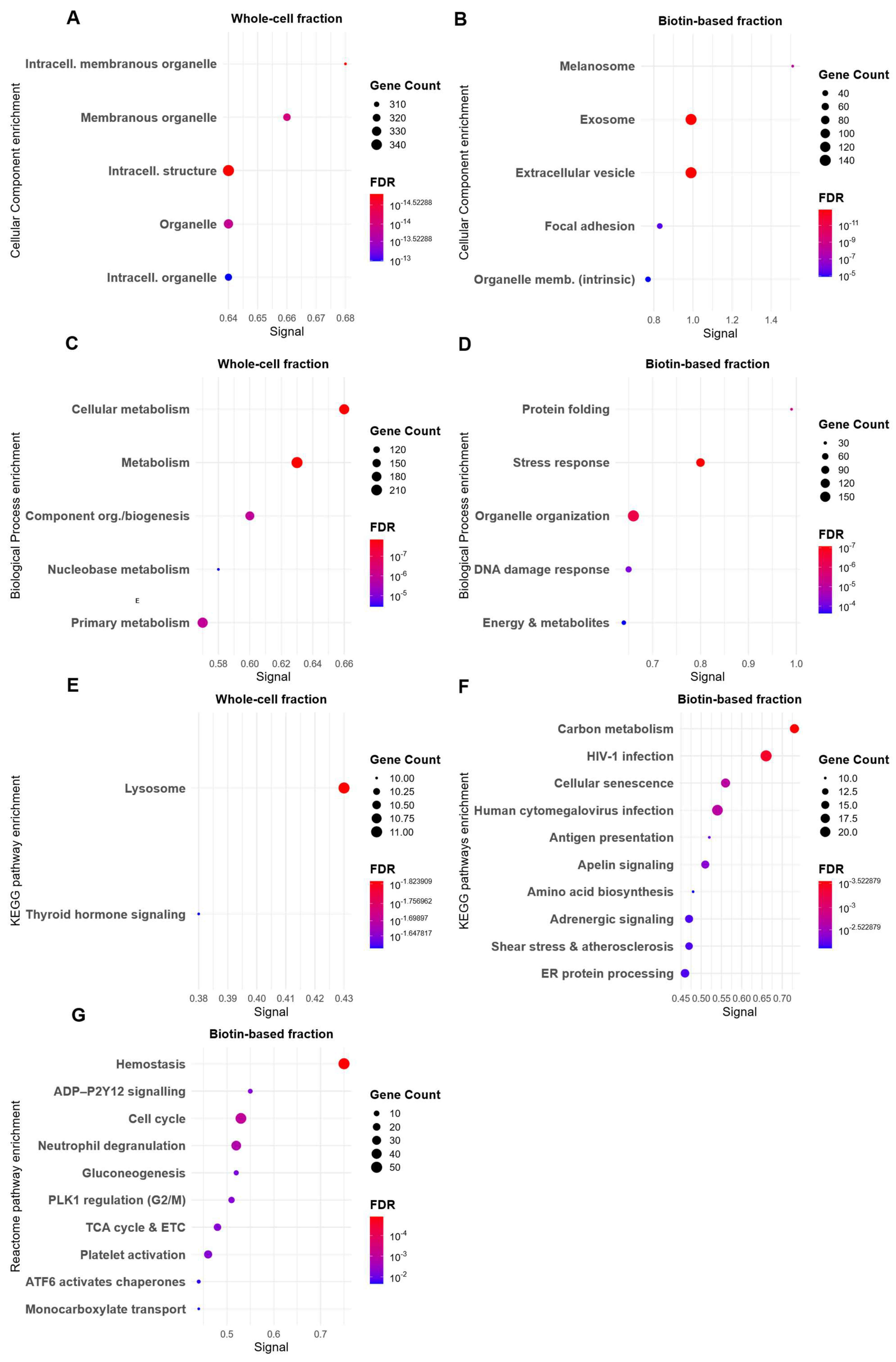 Proteomes 13 00036 g004