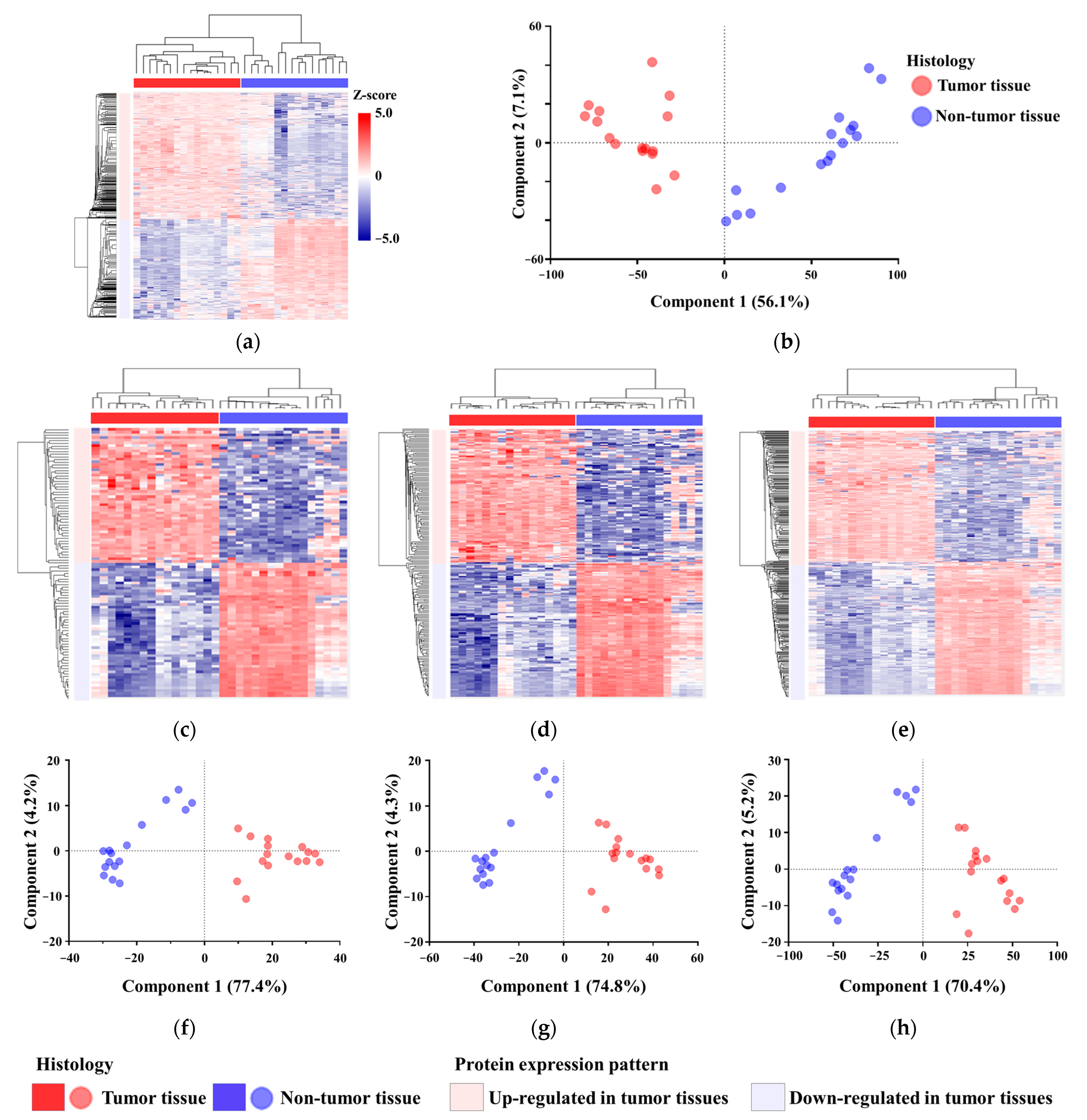 Proteomes 13 00038 g002