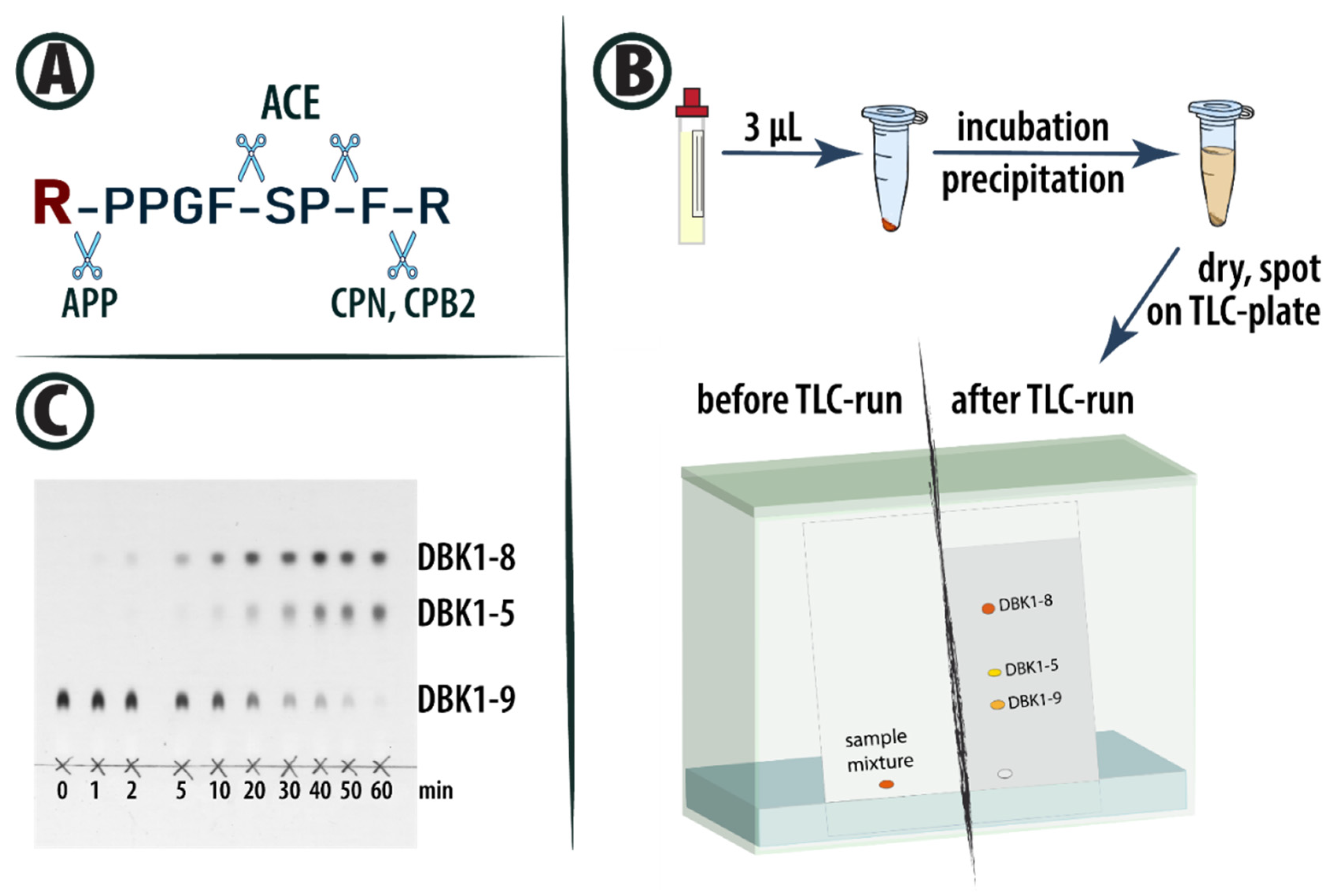 Proteomes 13 00040 g001