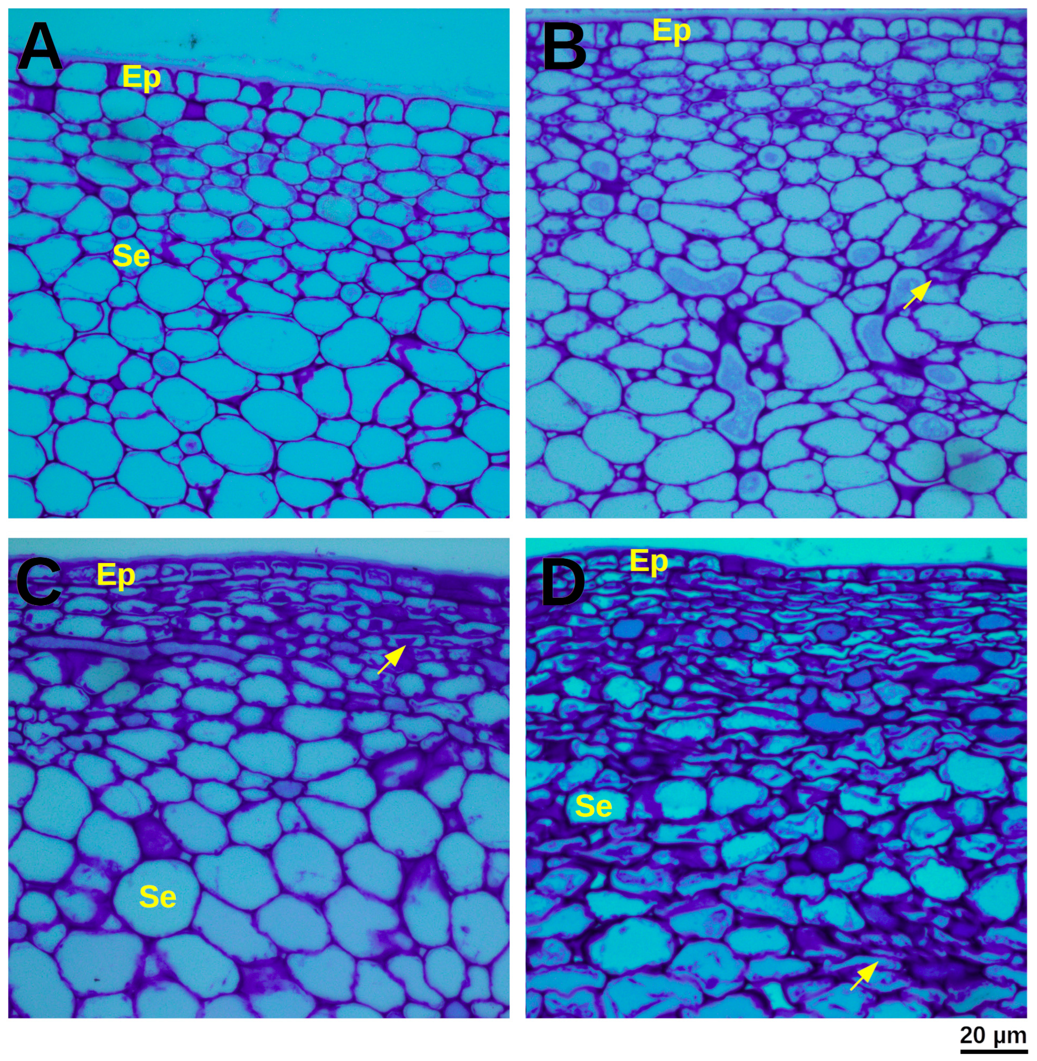 Proteomes 13 00044 g002 Proteomes 13 00044 g002