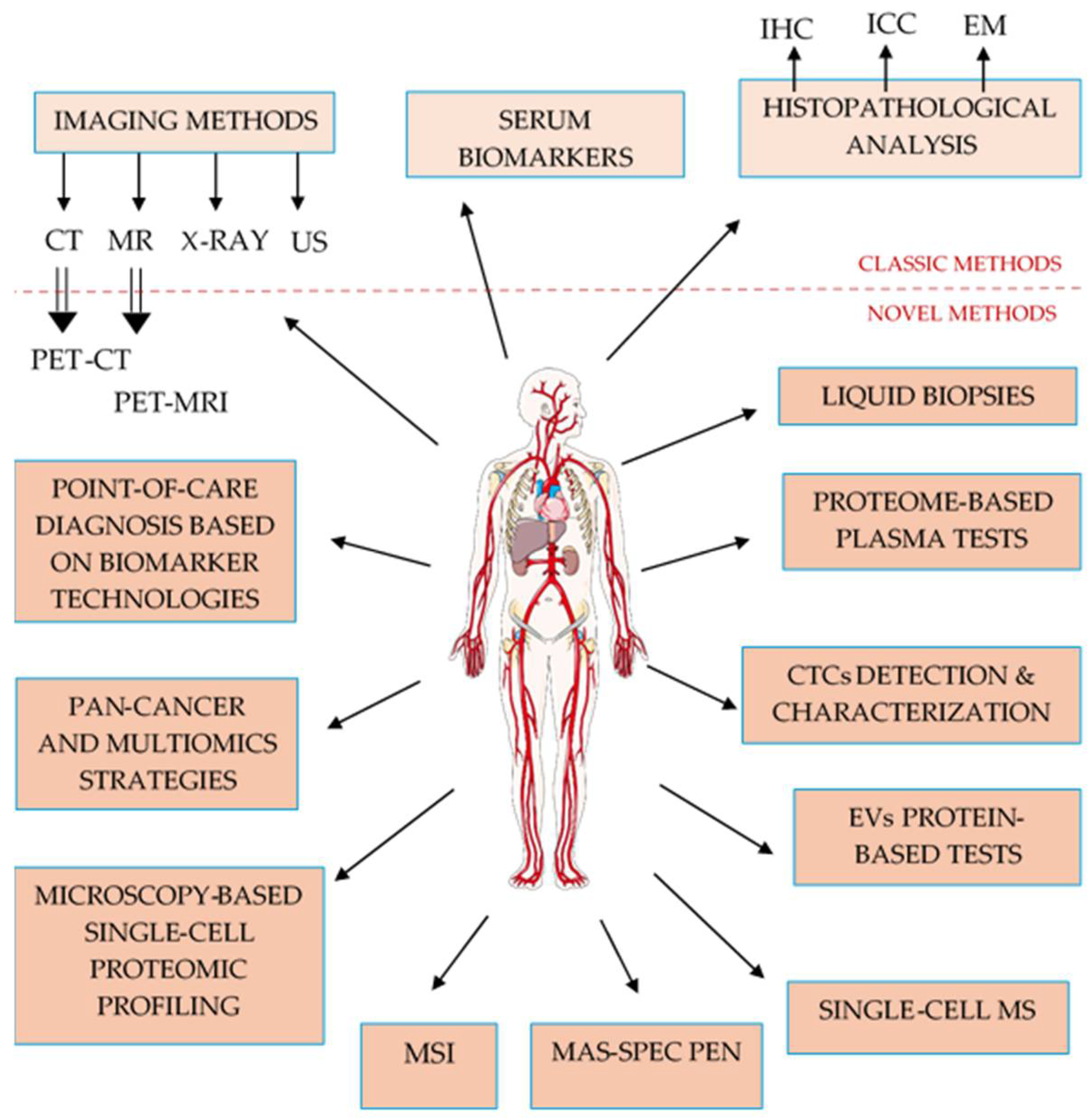Proteomes 13 00047 g001