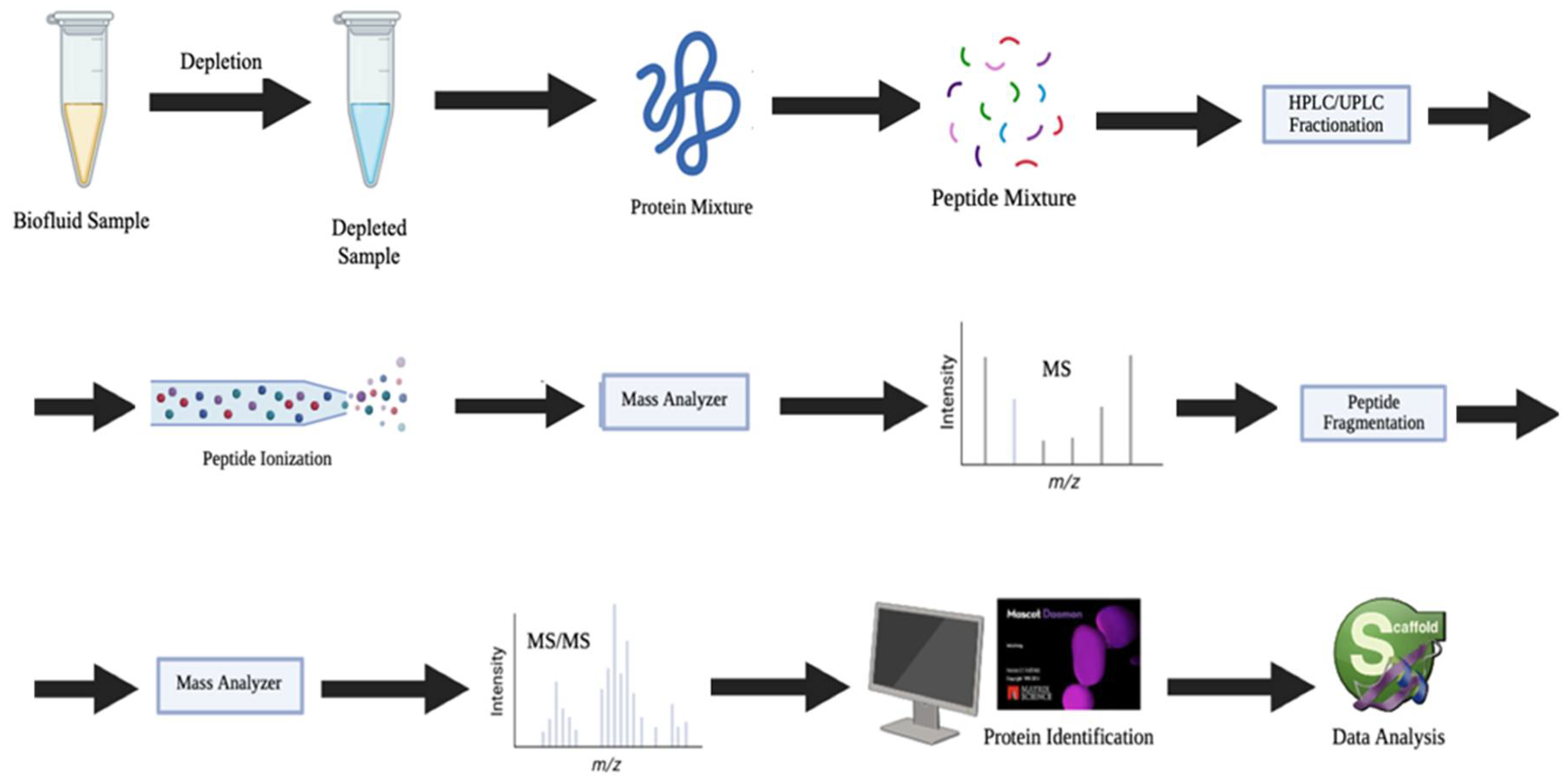 Proteomes 13 00047 g002