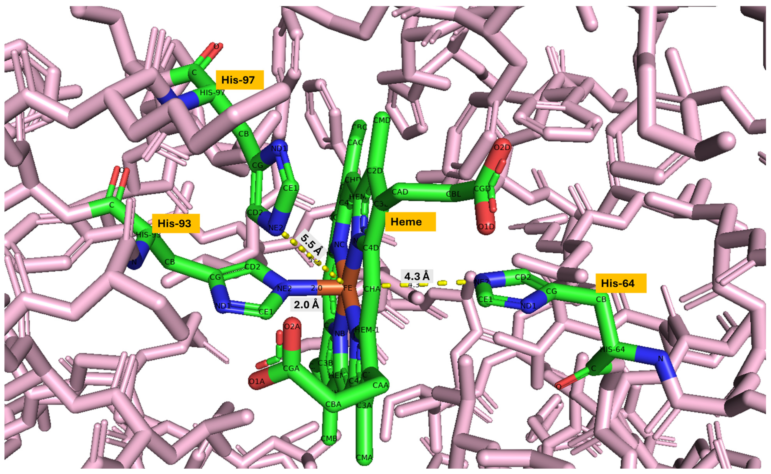Proteomes 13 00050 g007
