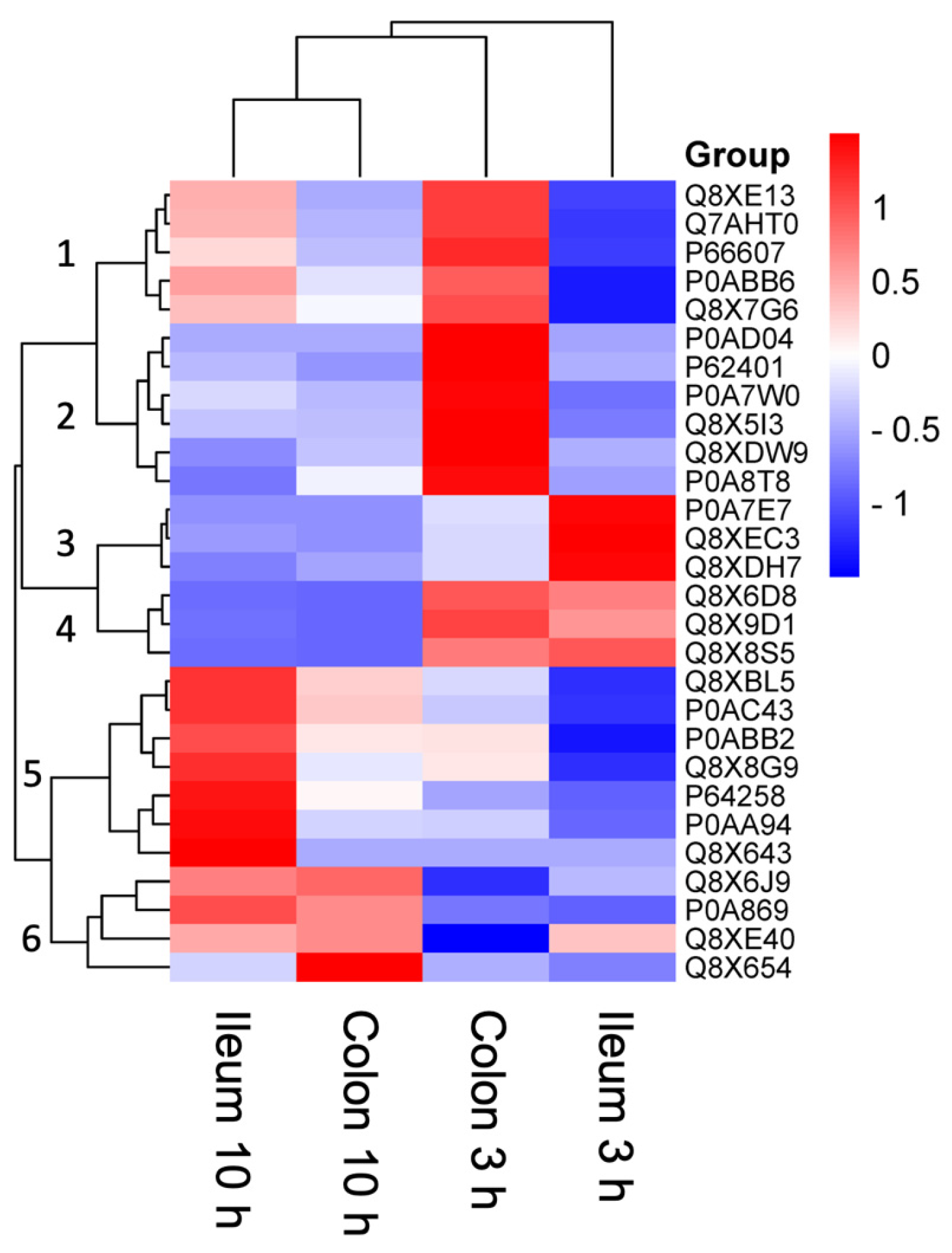Proteomes 13 00052 g003 Proteomes 13 00052 g003