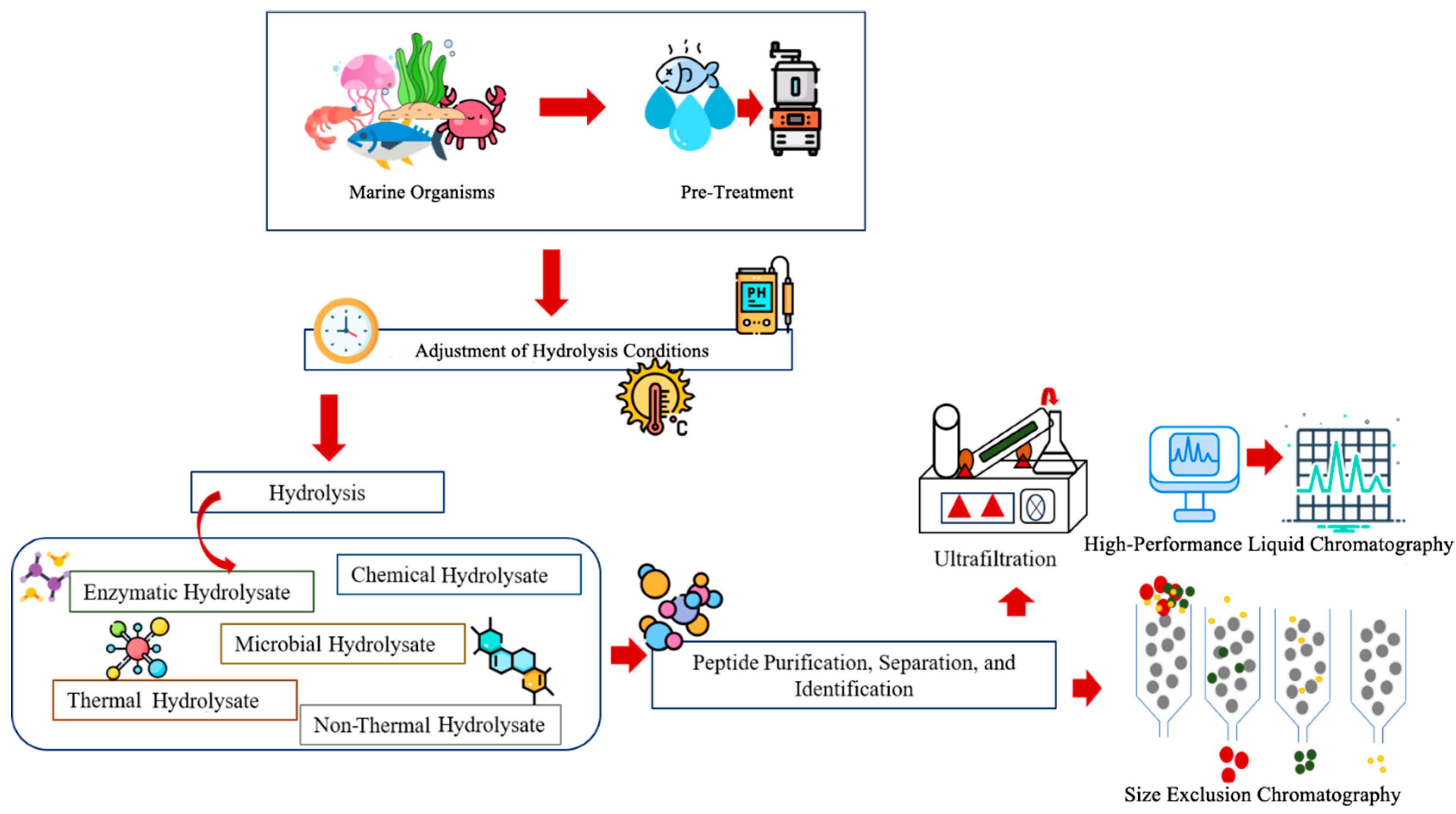 Proteomes 13 00053 g004