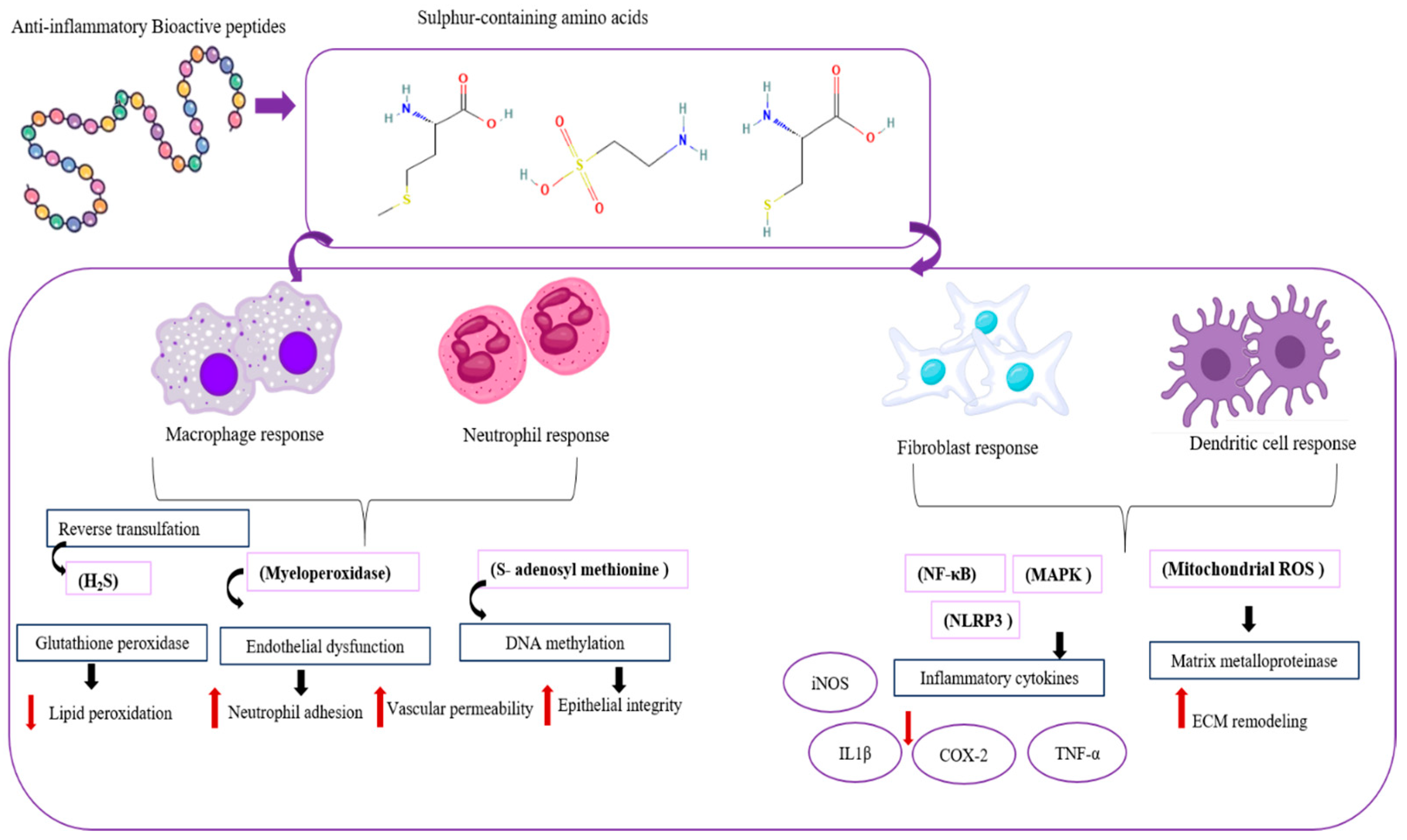 Proteomes 13 00053 g005