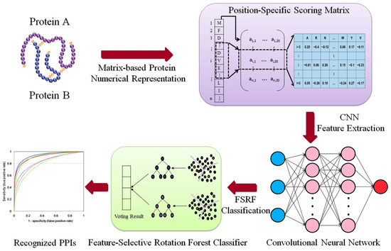Recent Advances and Application of Machine Learning for Protein–Protein ...