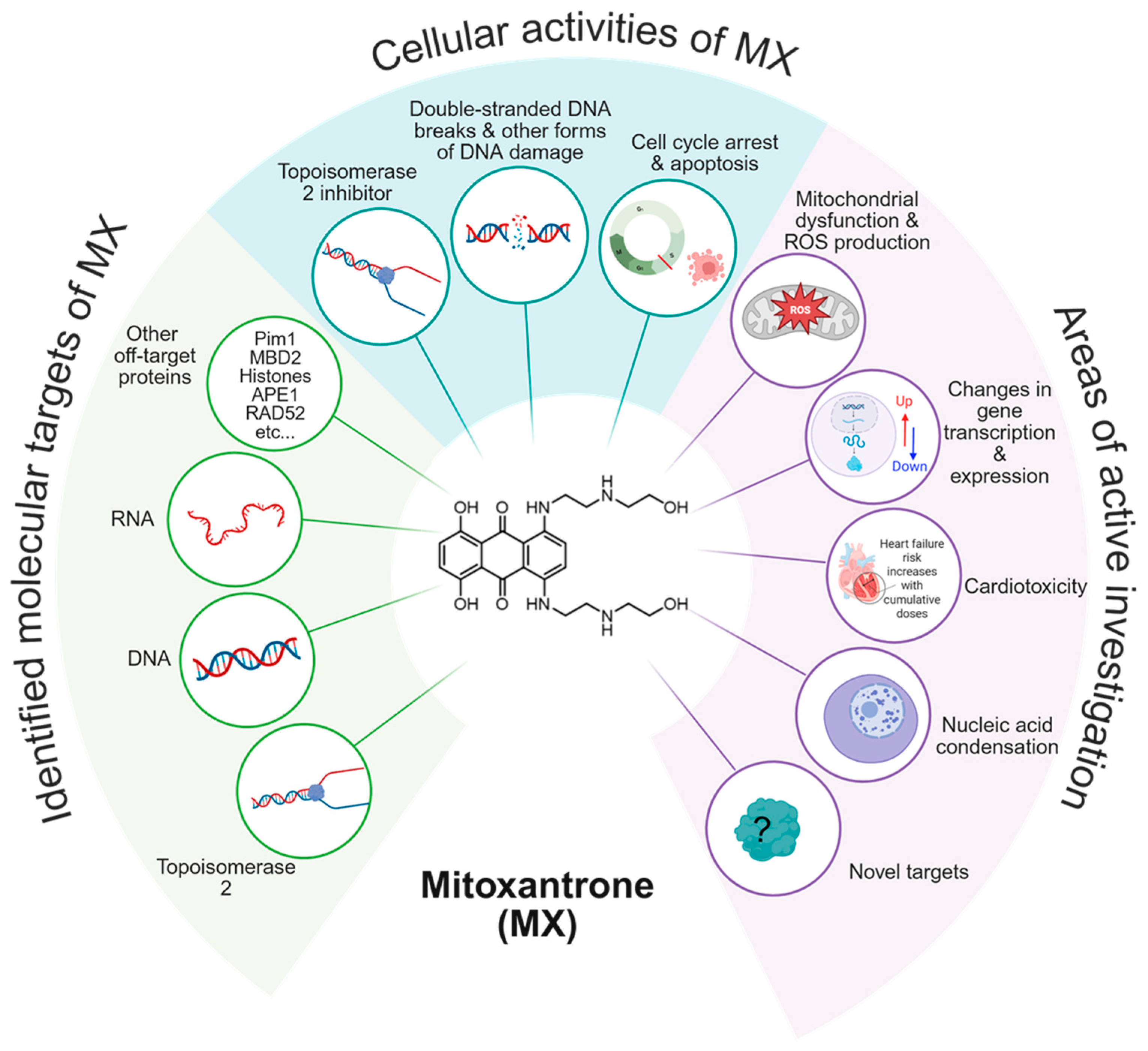 Proteomes 13 00061 g001 Proteomes 13 00061 g001
