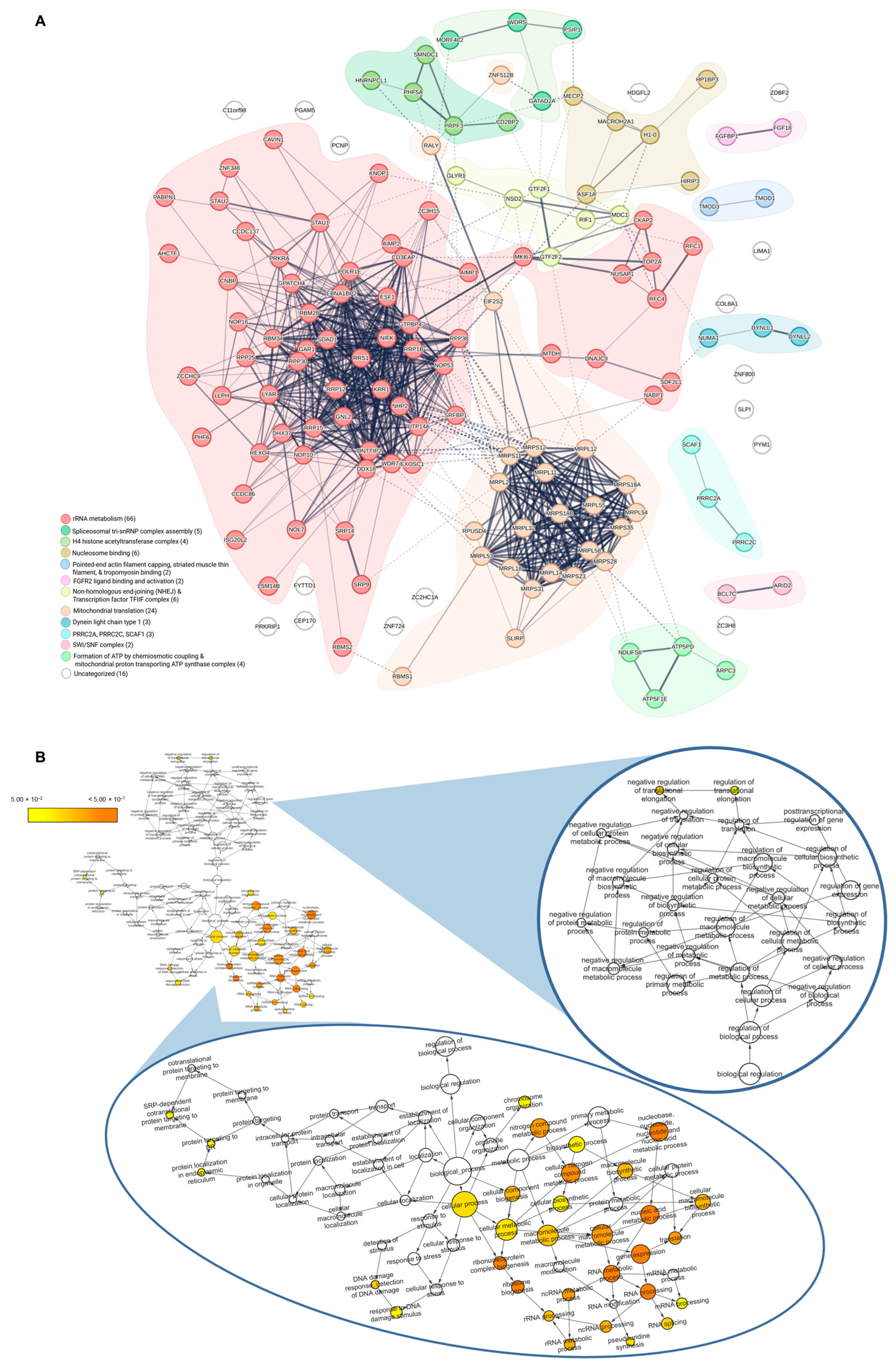 Proteomes 13 00061 g005 Proteomes 13 00061 g005