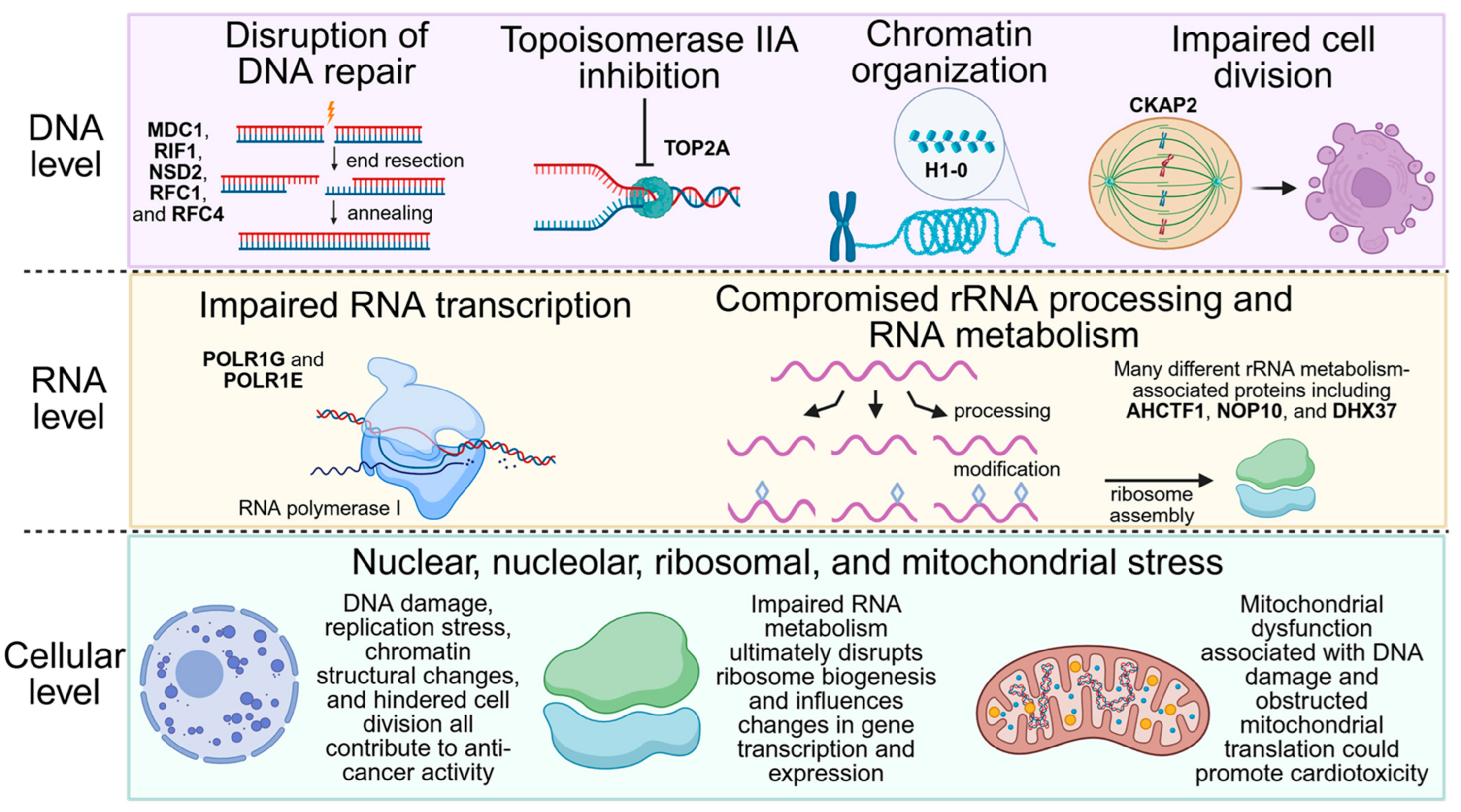 Proteomes 13 00061 g007 Proteomes 13 00061 g007