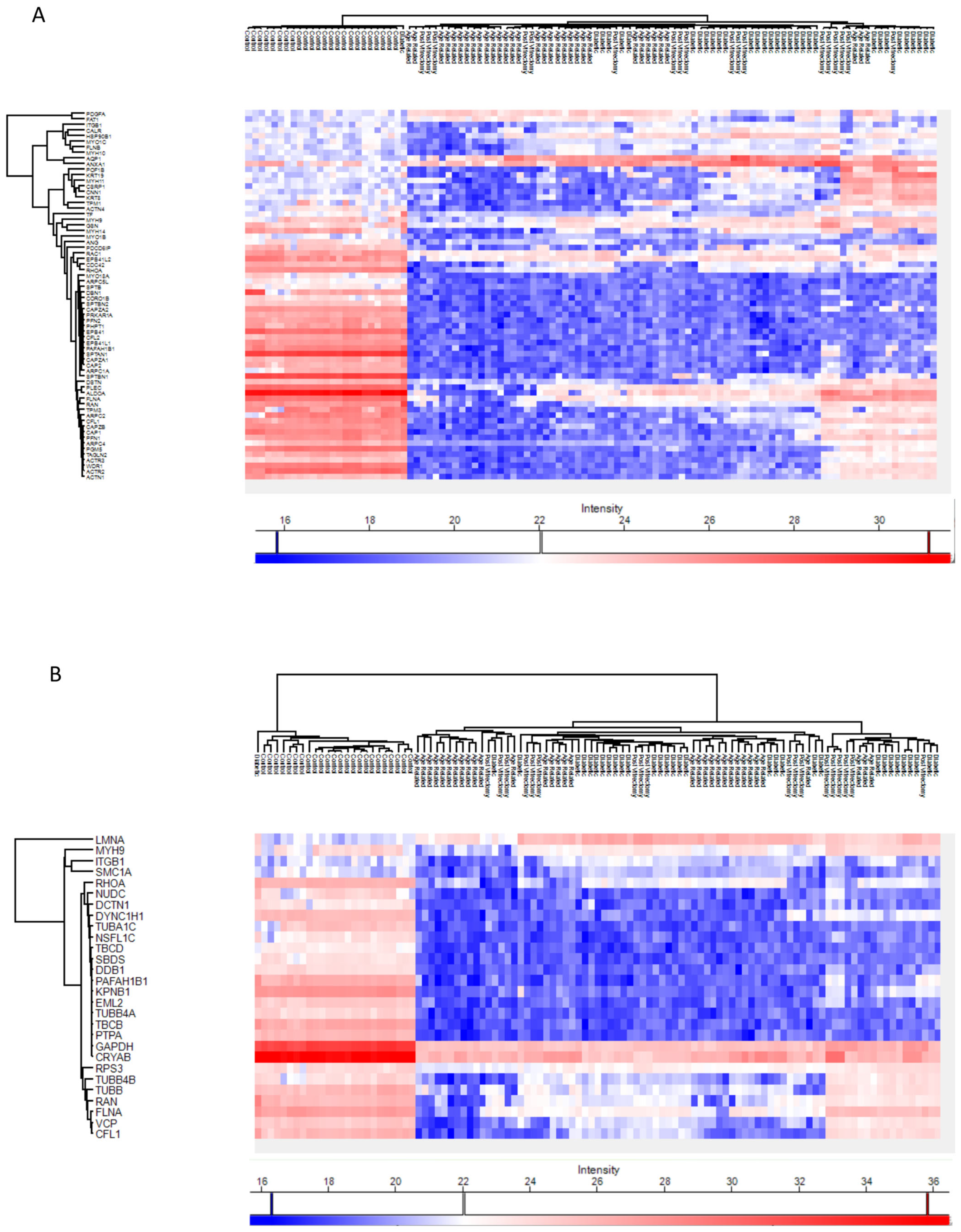 Proteomes 13 00062 g007
