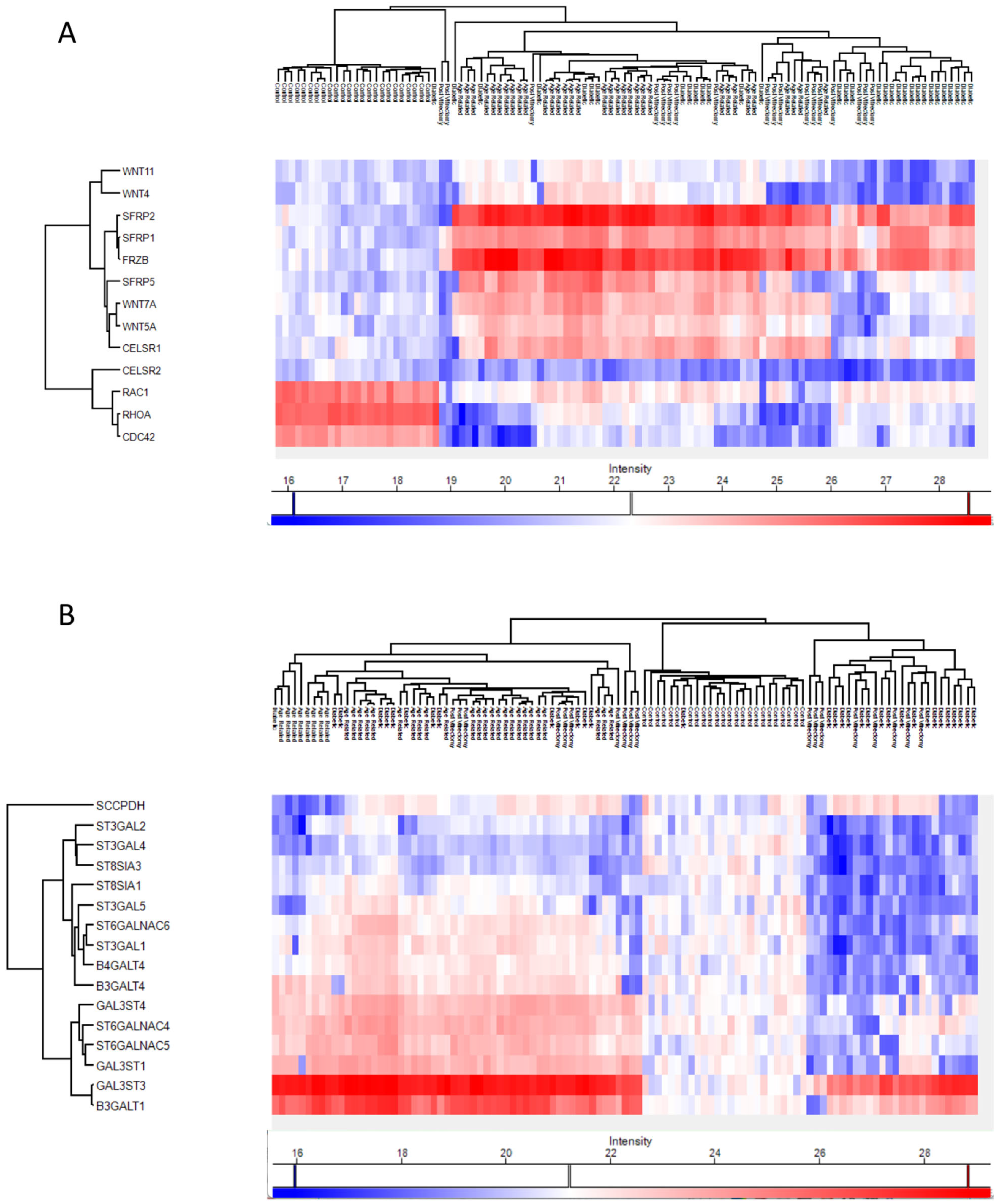 Proteomes 13 00062 g008