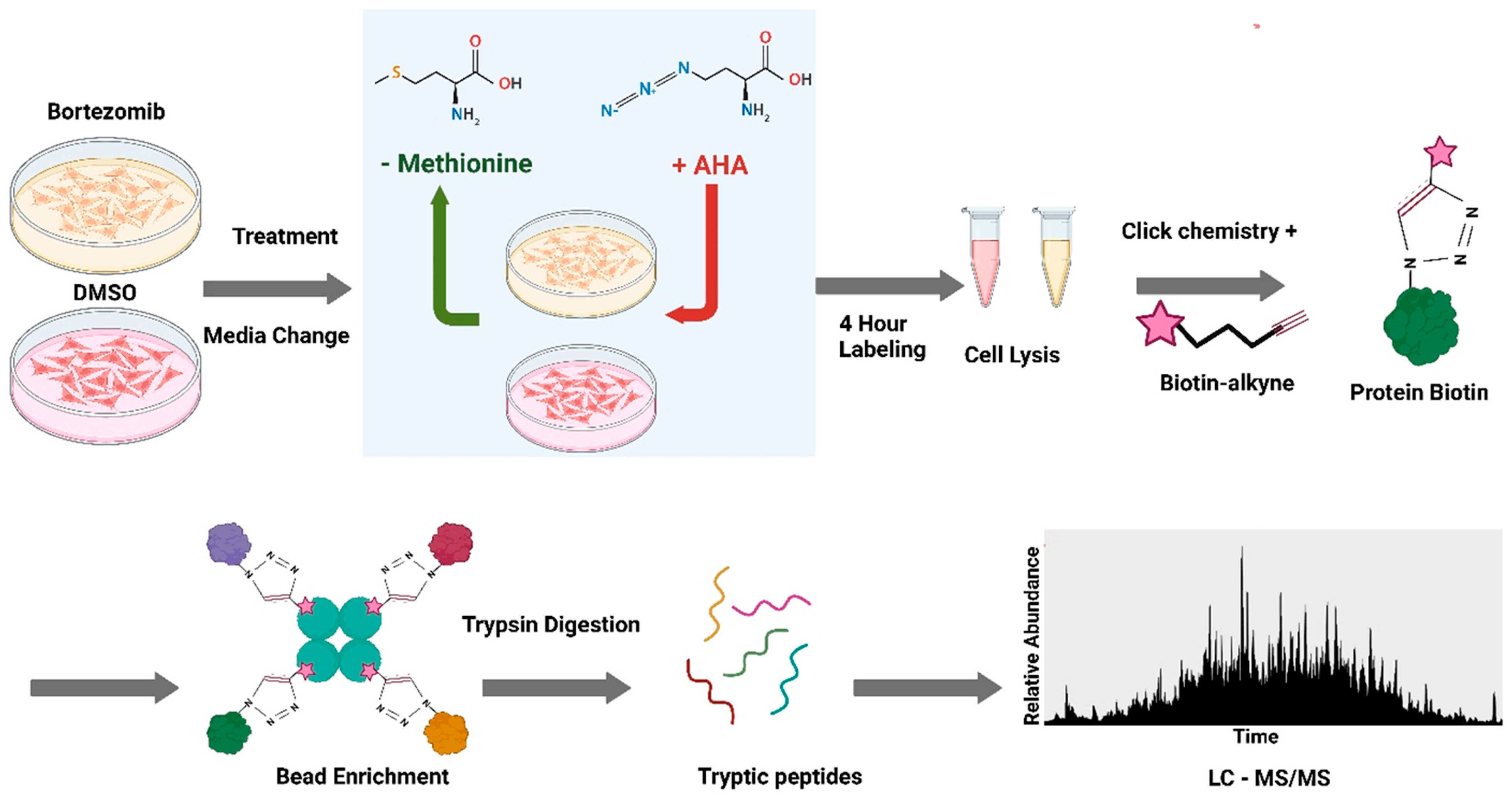 Proteomes 13 00063 g002