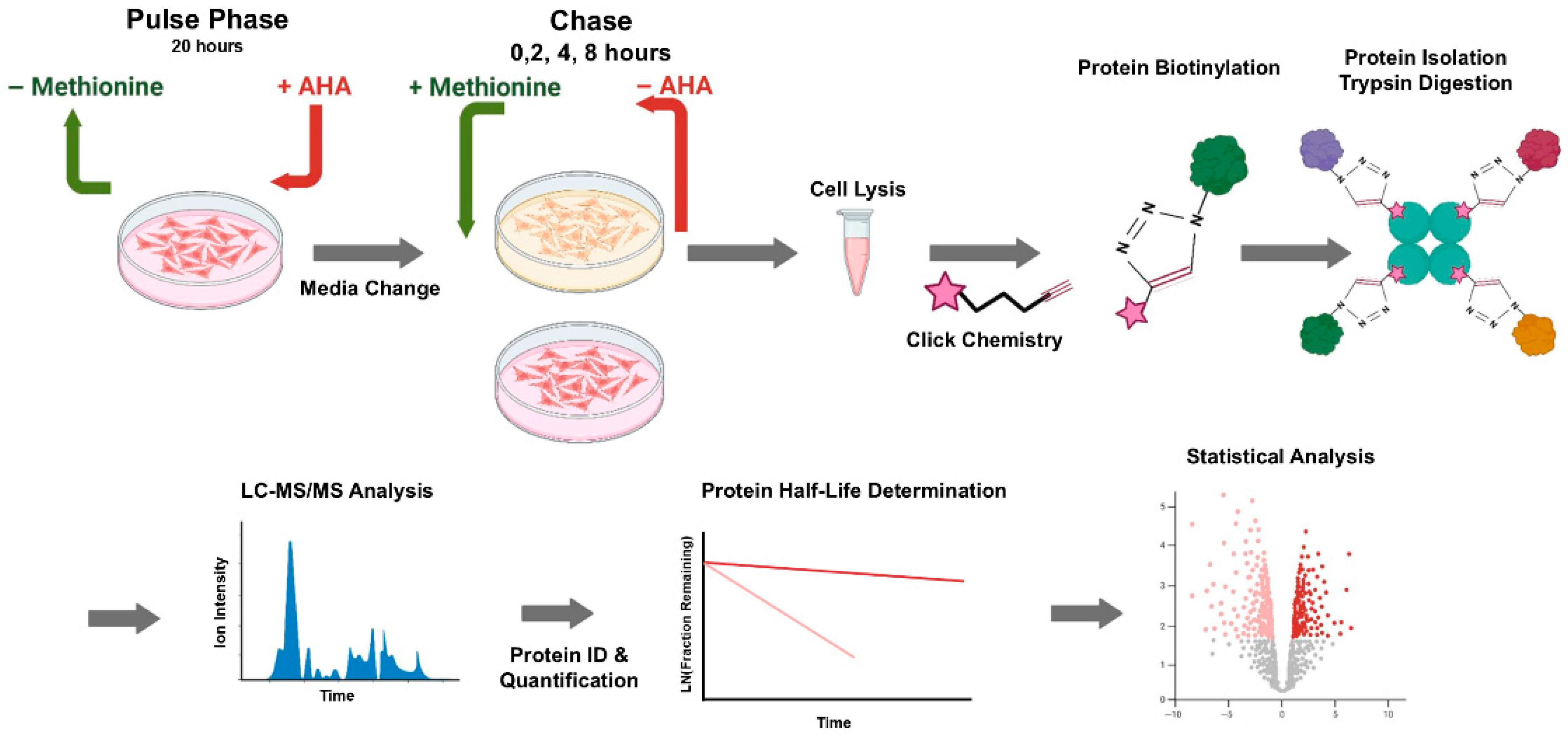 Proteomes 13 00063 g006