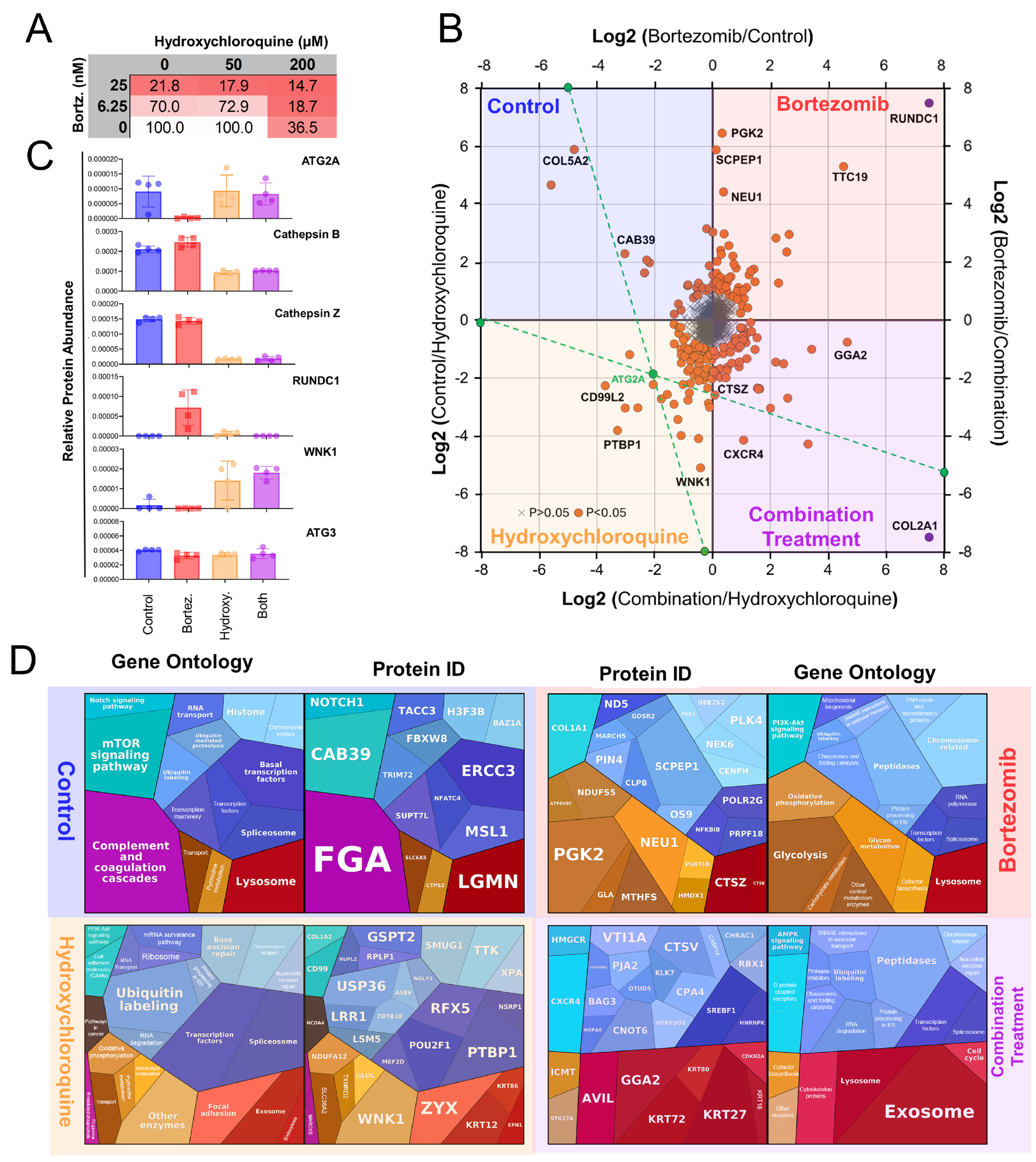 Proteomes 13 00063 g009