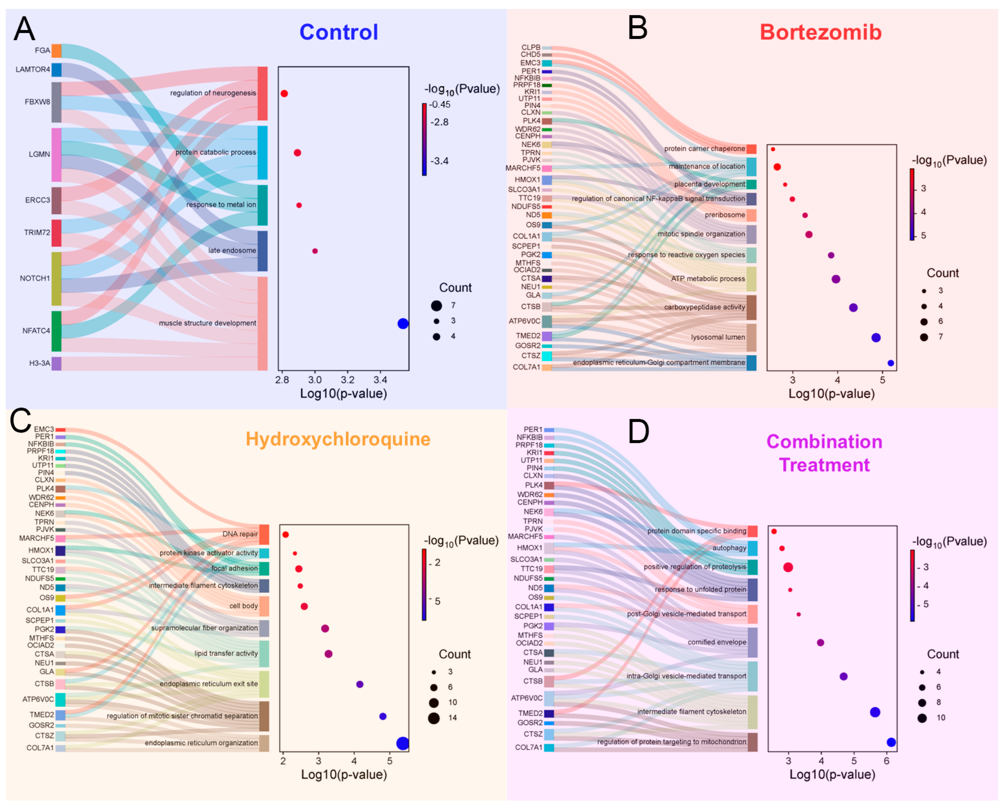 Proteomes 13 00063 g010