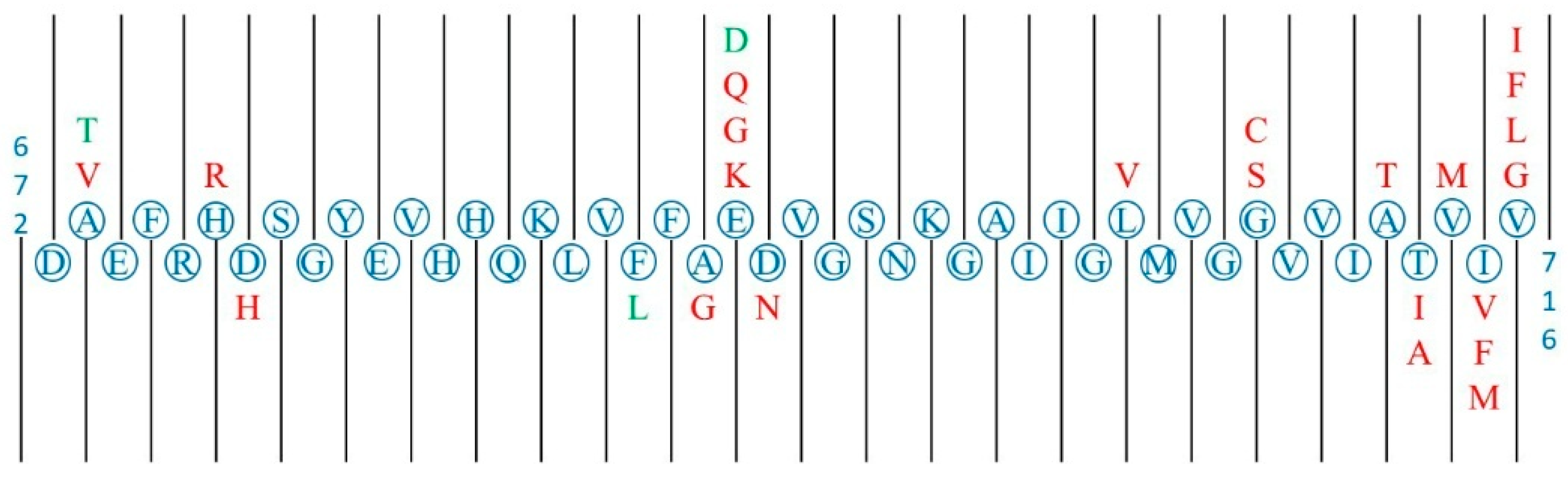 Proteomes 13 00064 g004