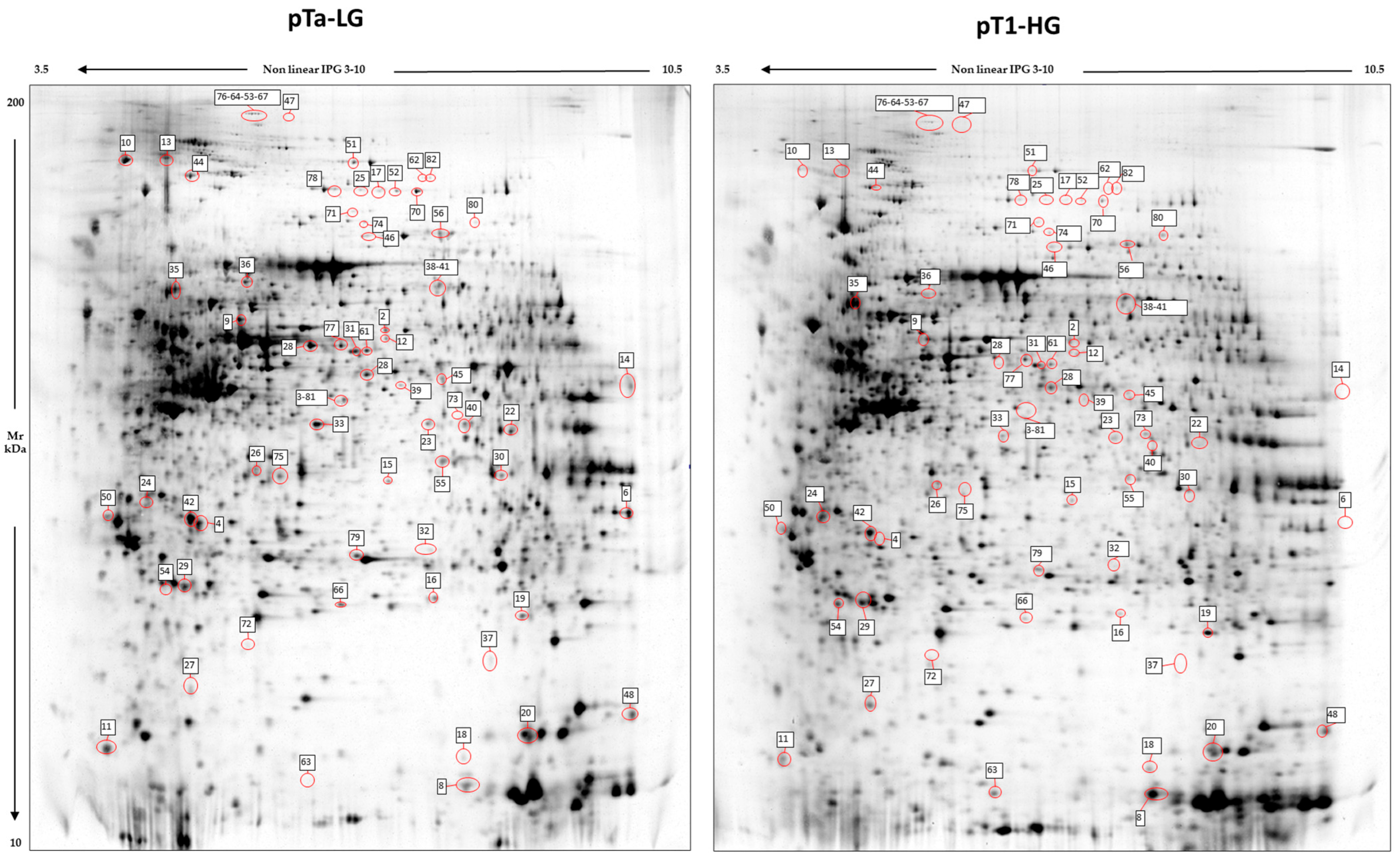 Proteomes 13 00065 g002