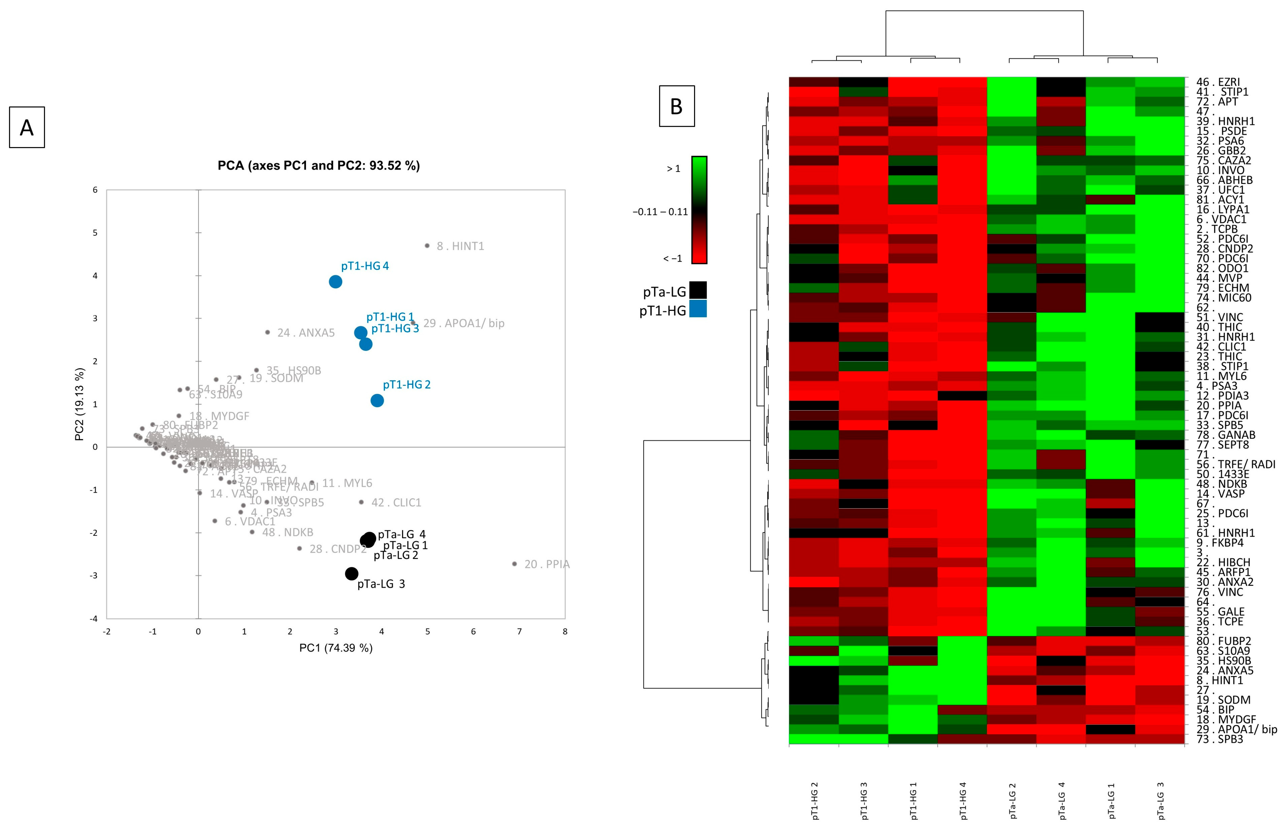 Proteomes 13 00065 g003