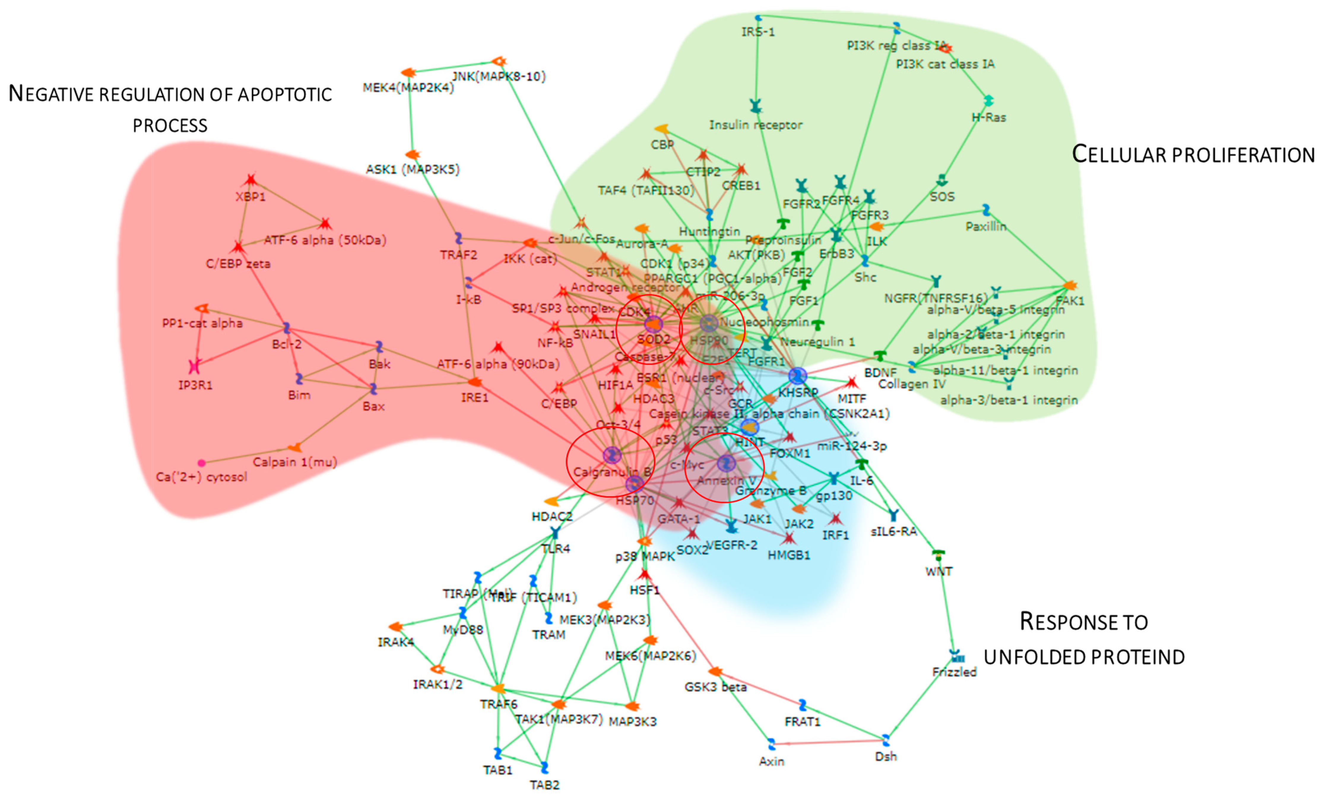 Proteomes 13 00065 g005
