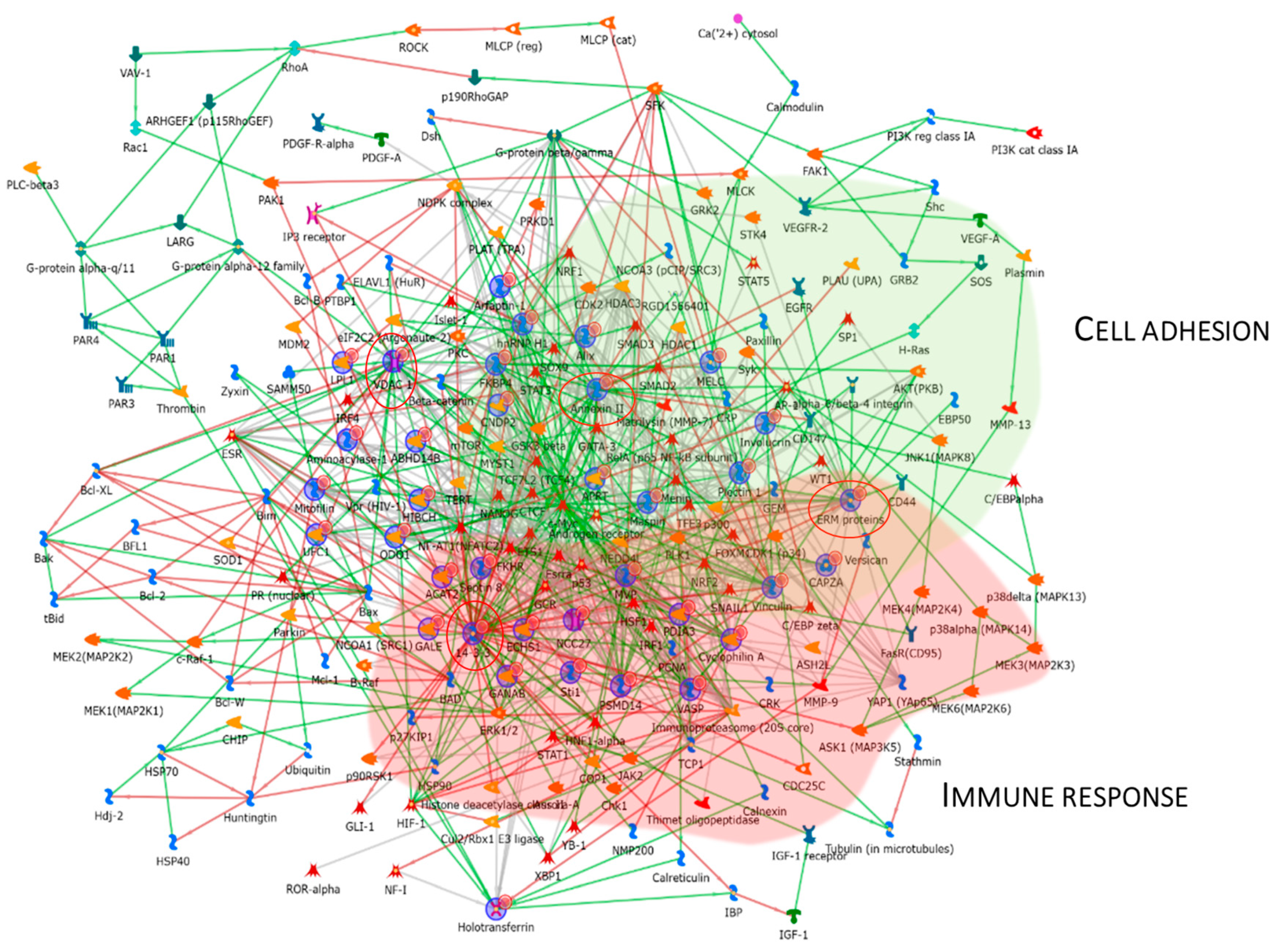 Proteomes 13 00065 g007