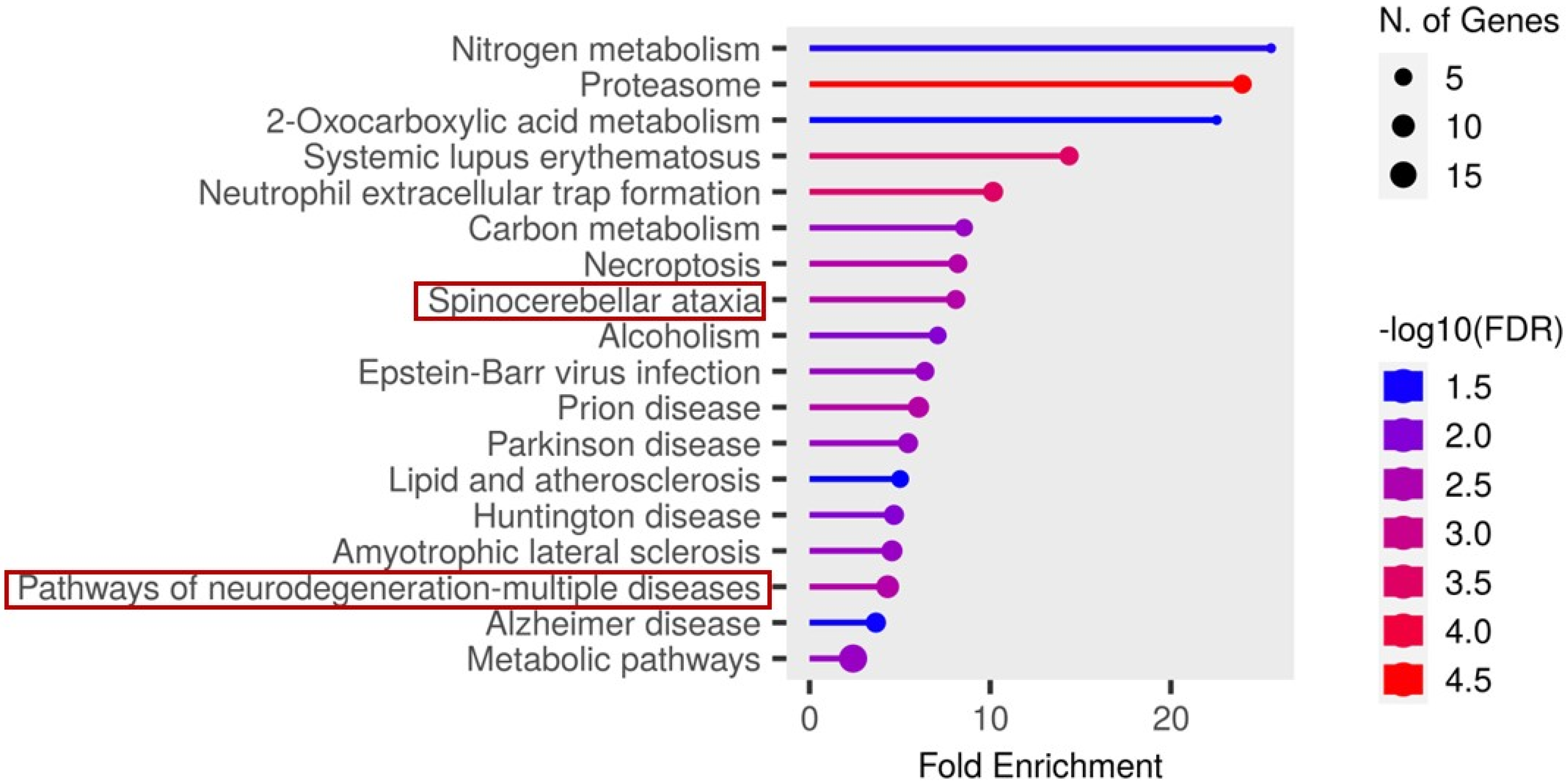 Proteomes 13 00066 g007
