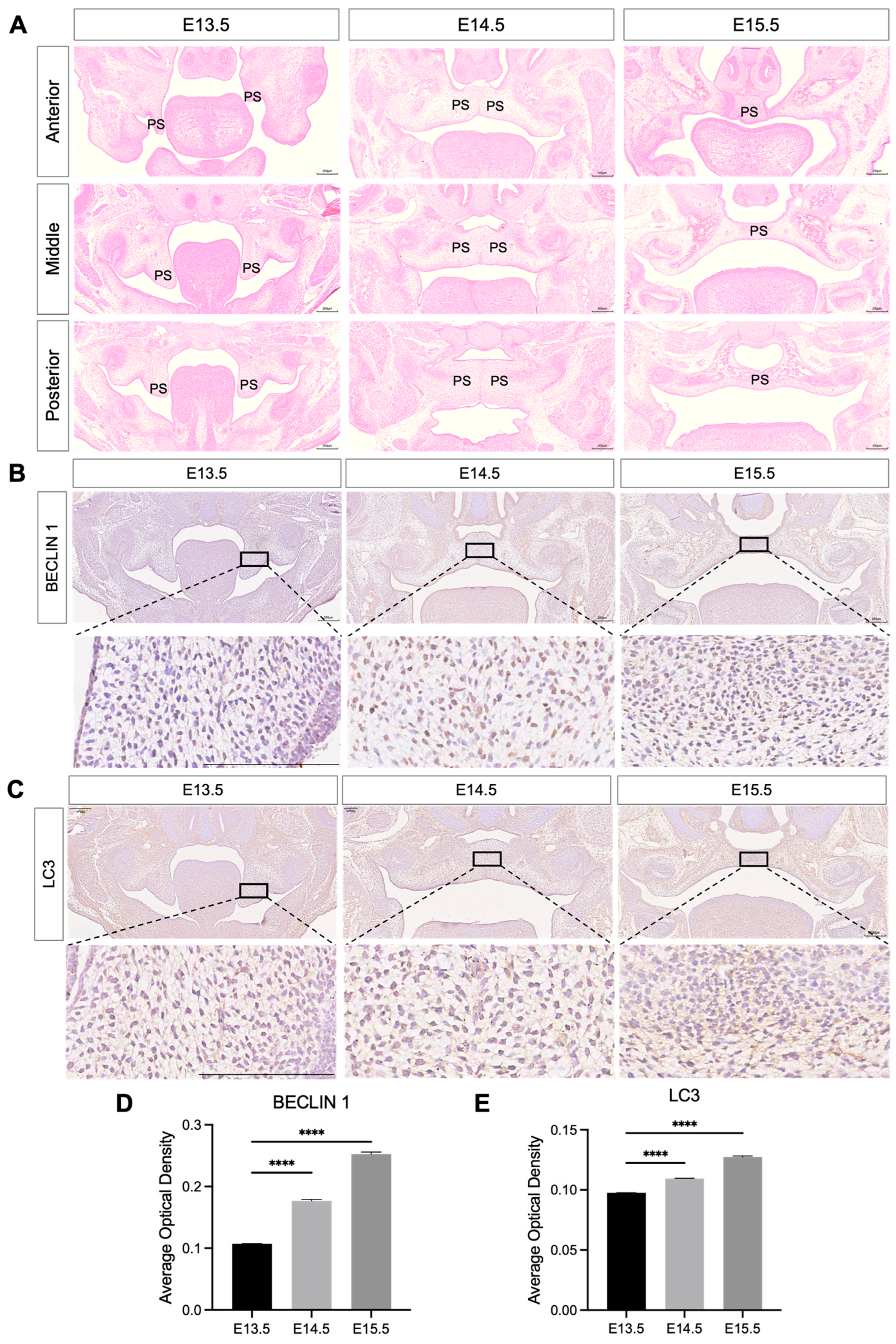 Proteomes 14 00005 g001