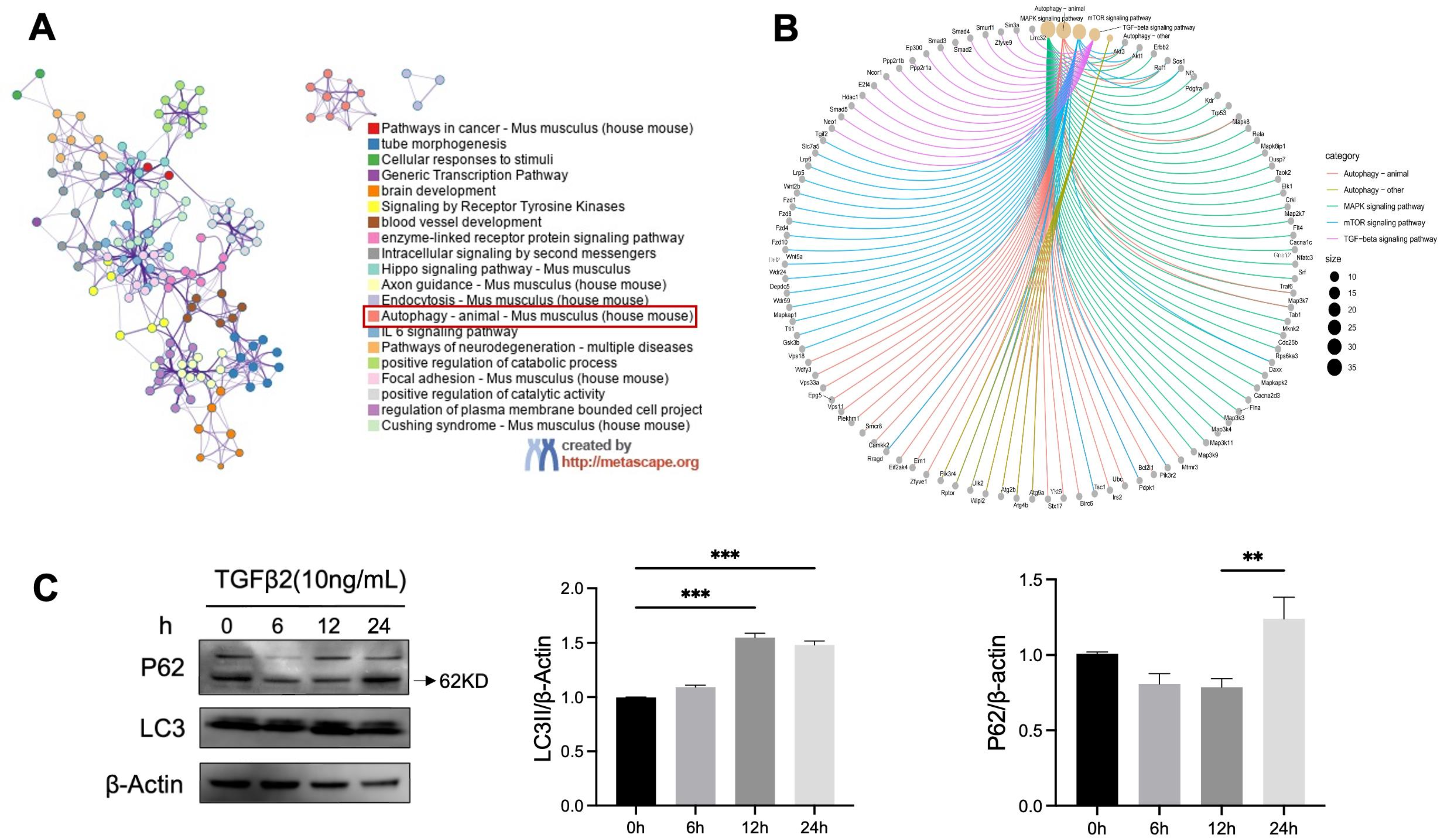 Proteomes 14 00005 g003