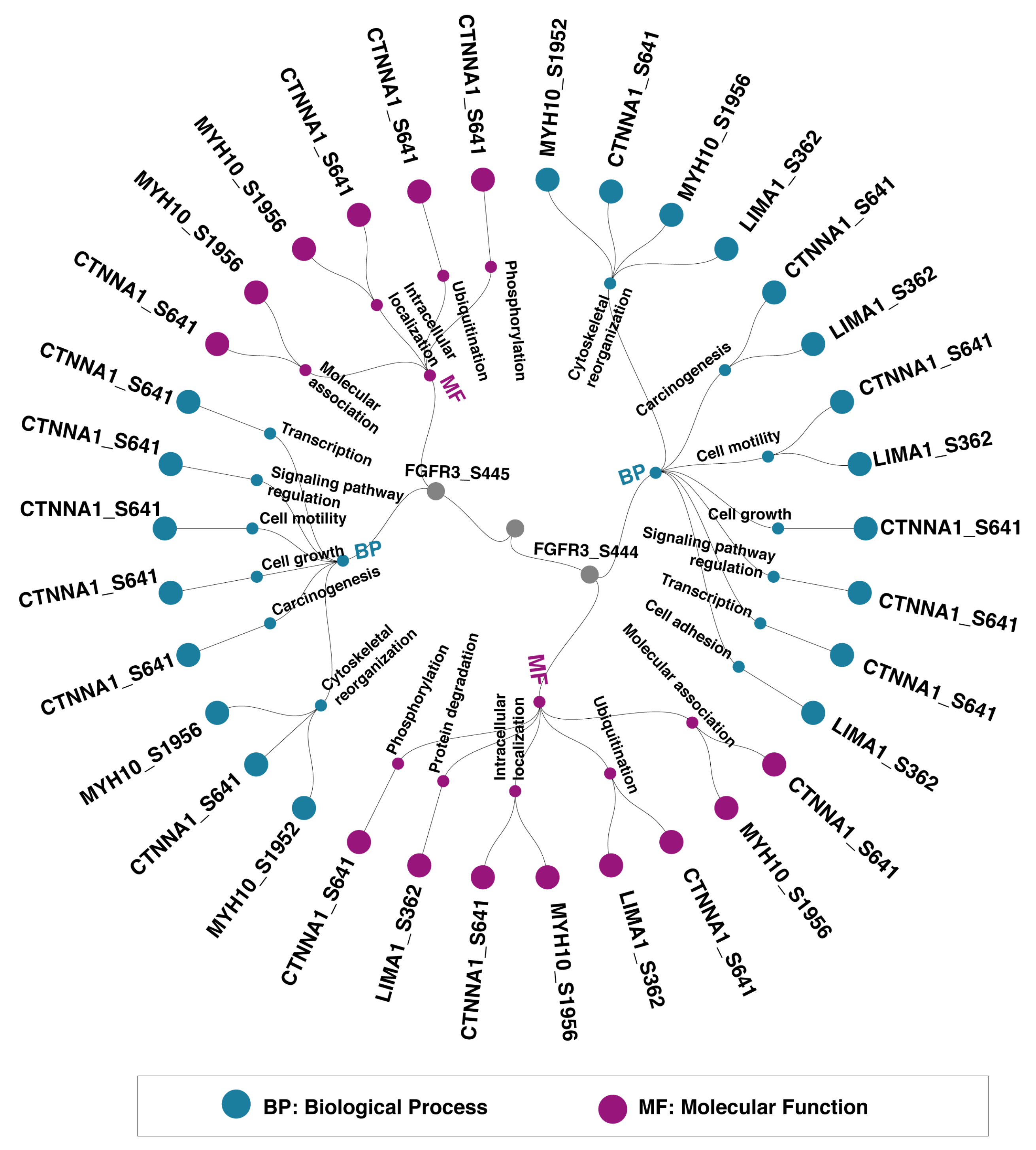 Proteomes 14 00008 g004