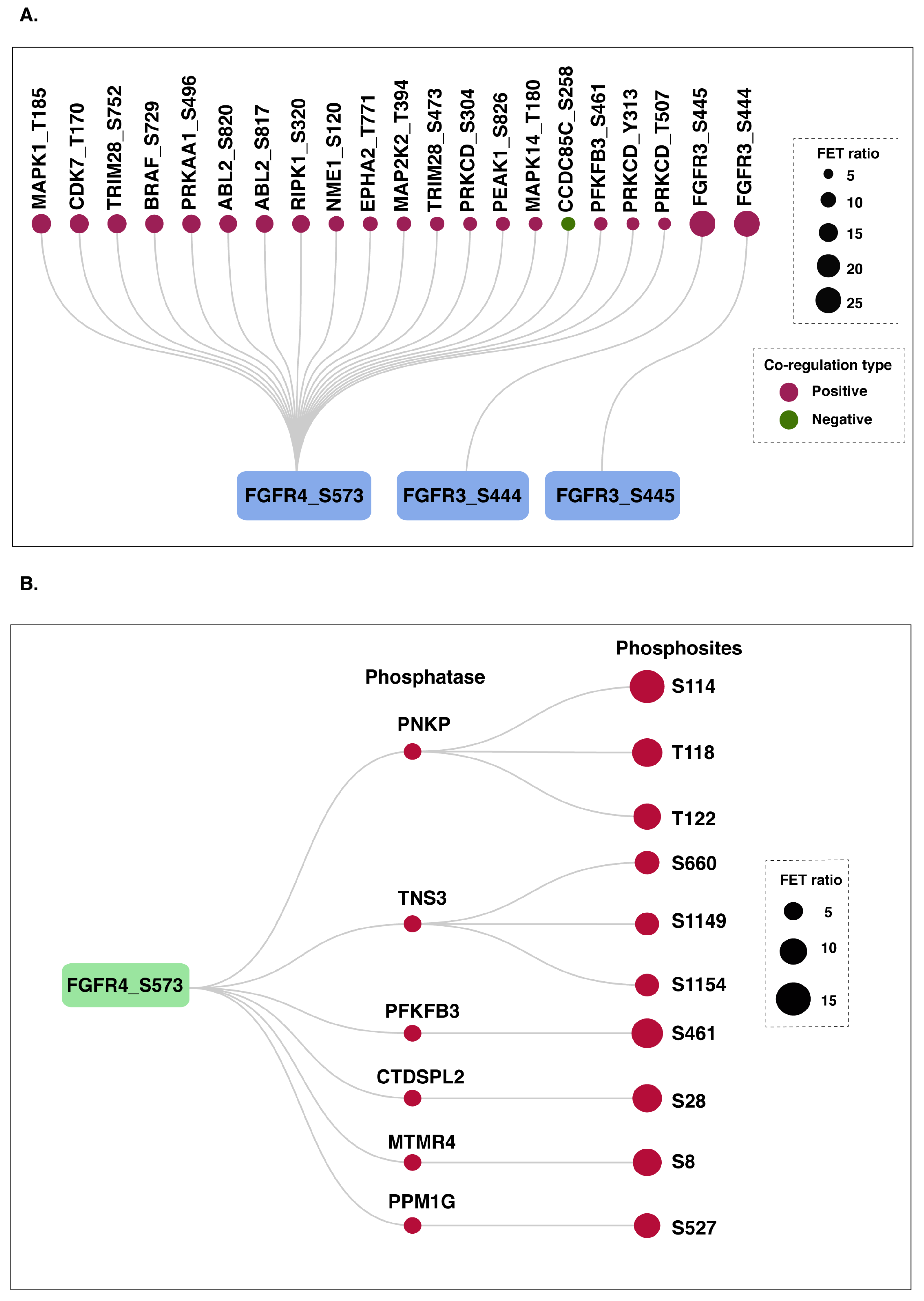 Proteomes 14 00008 g006