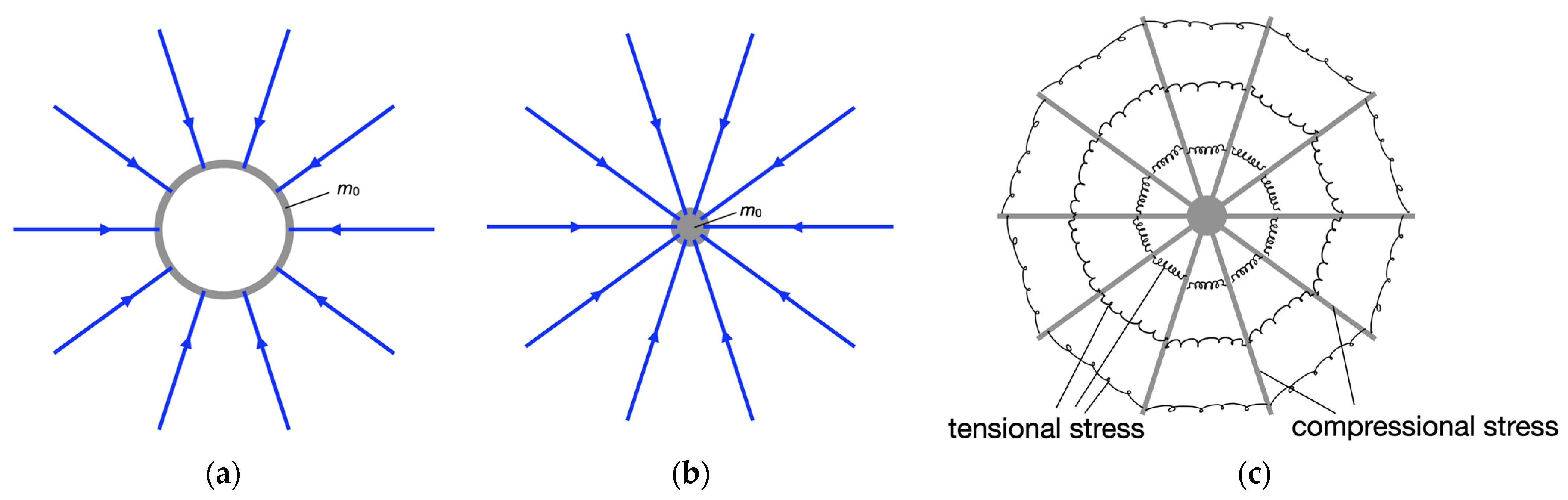 Psf 02 00056 g002 550