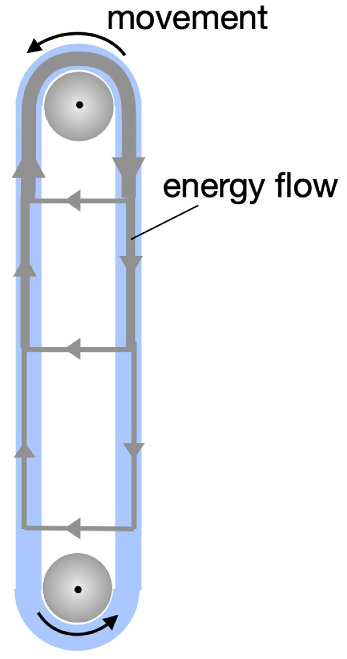 Psf 02 00056 g005 550