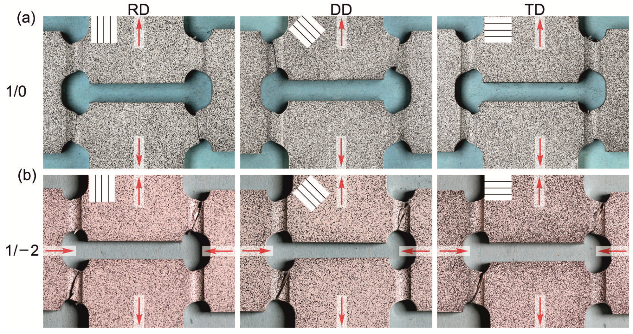 Psf 04 00007 g007 550