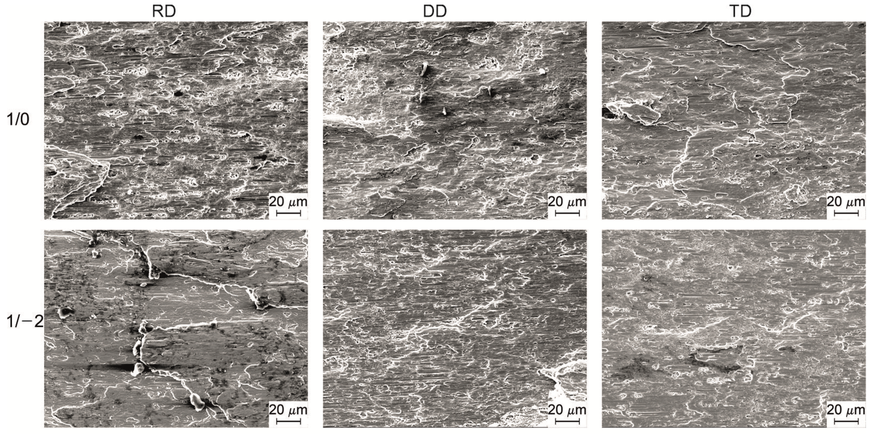 Psf 04 00007 g008 550