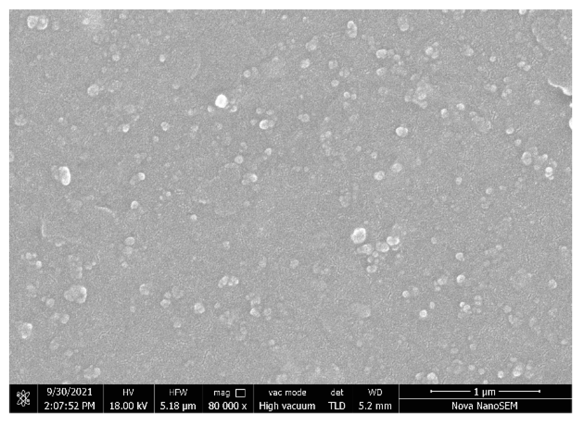 Psf 04 00009 g001 550