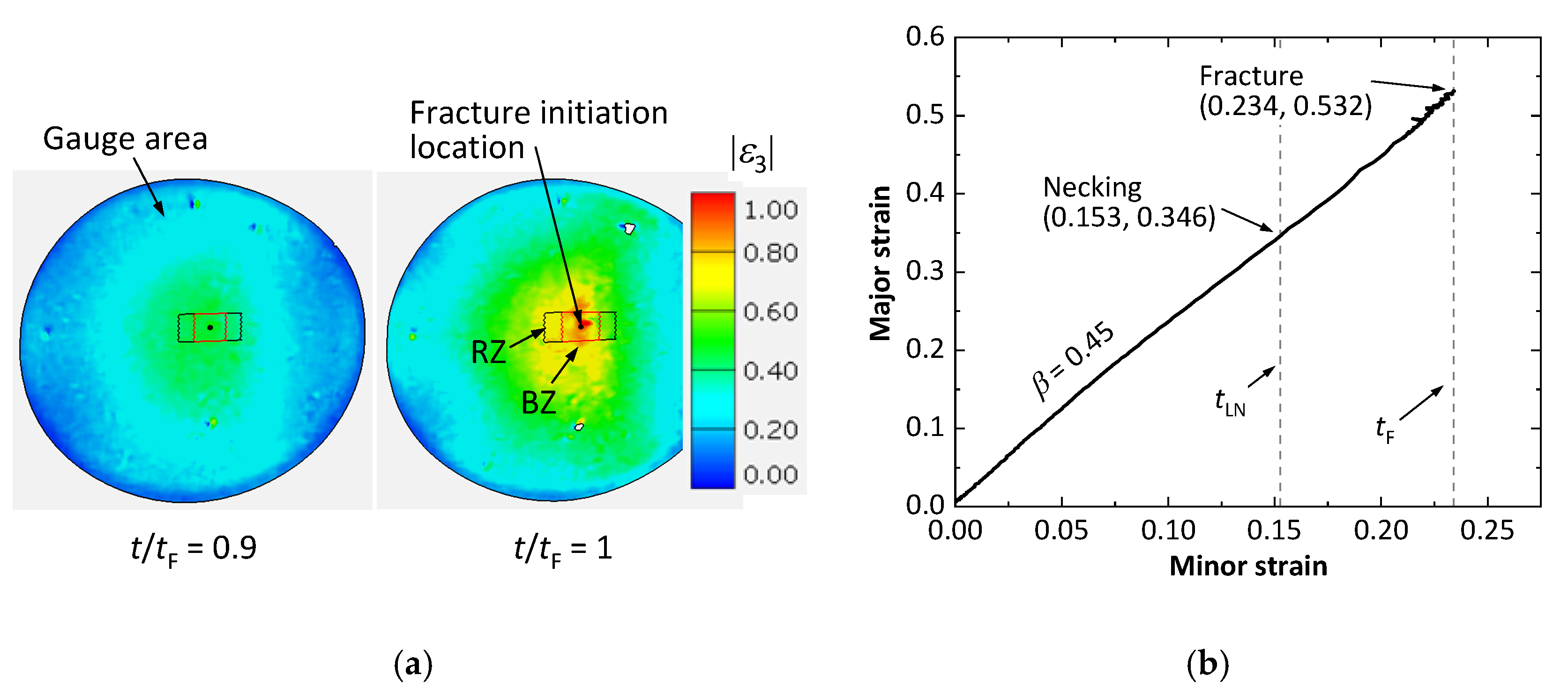 Psf 04 00015 g007 550