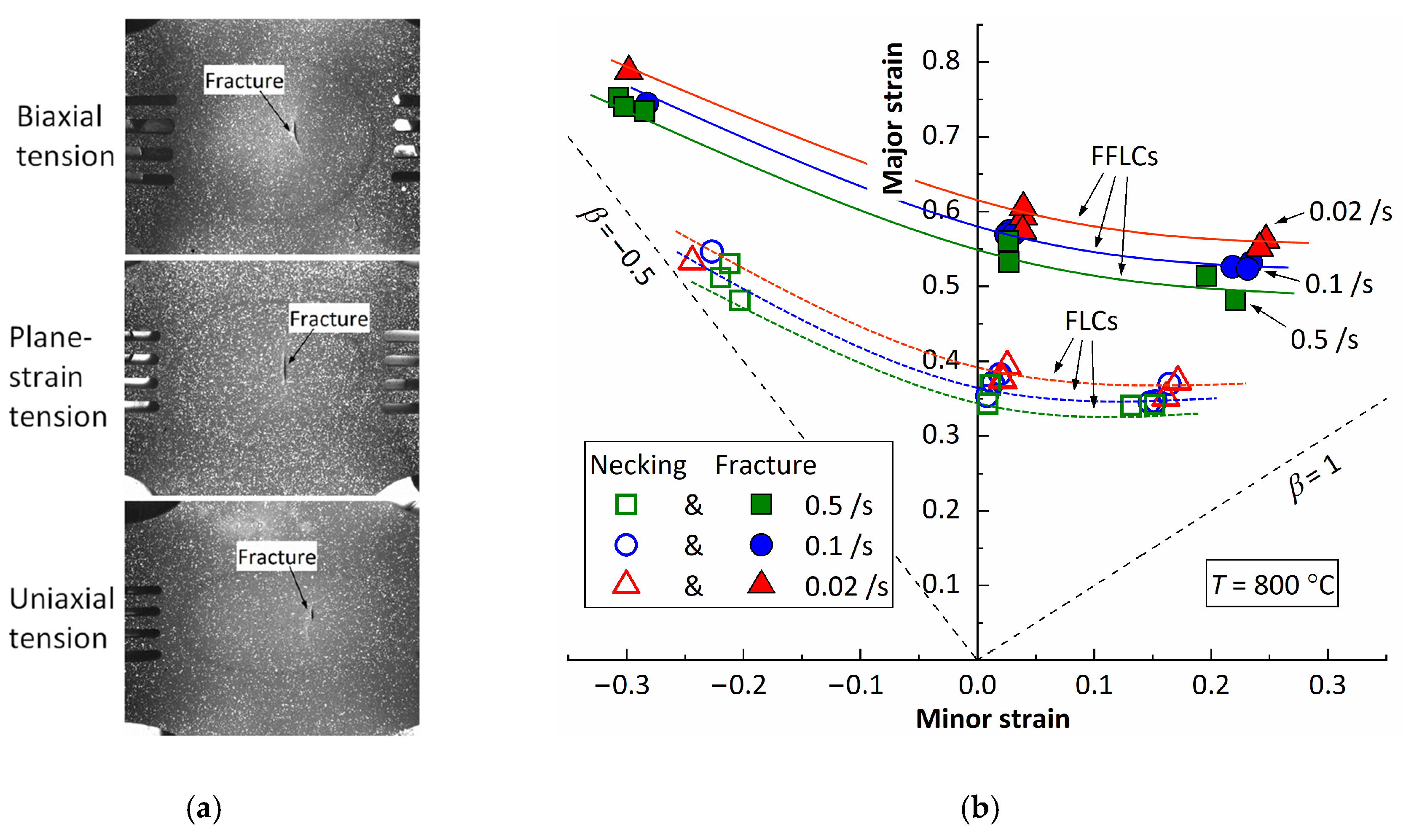 Psf 04 00015 g008 550