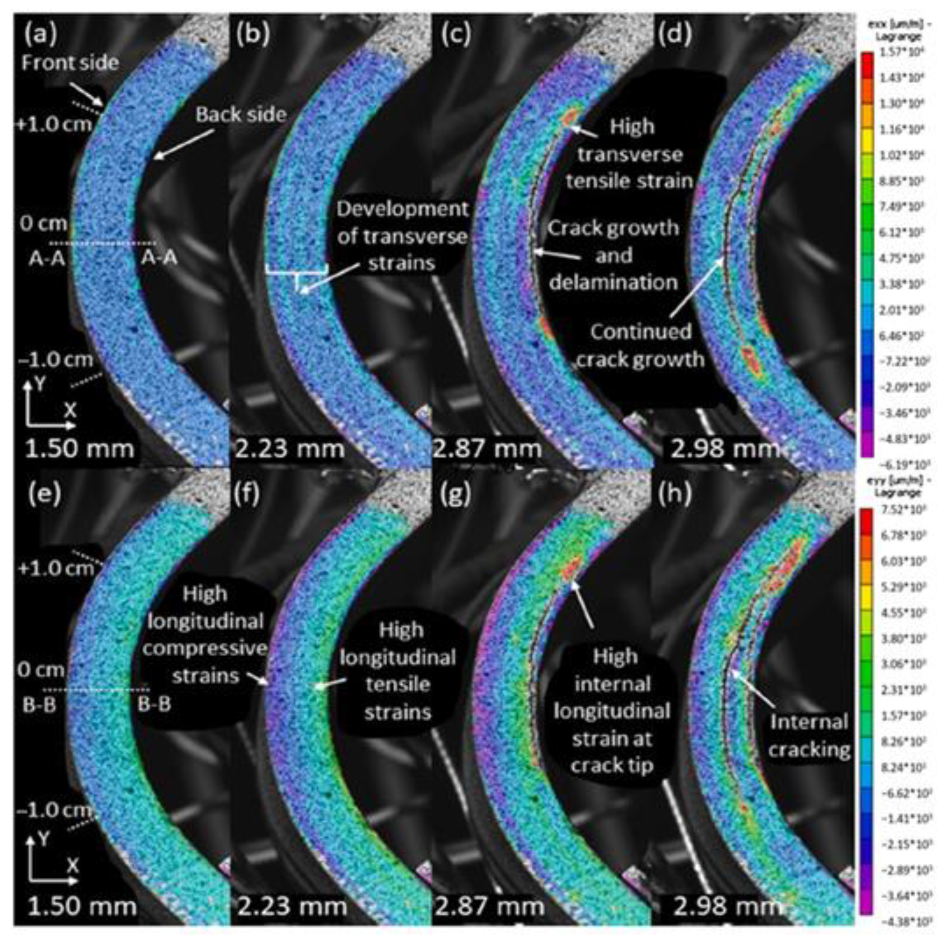 Psf 04 00024 g004 550