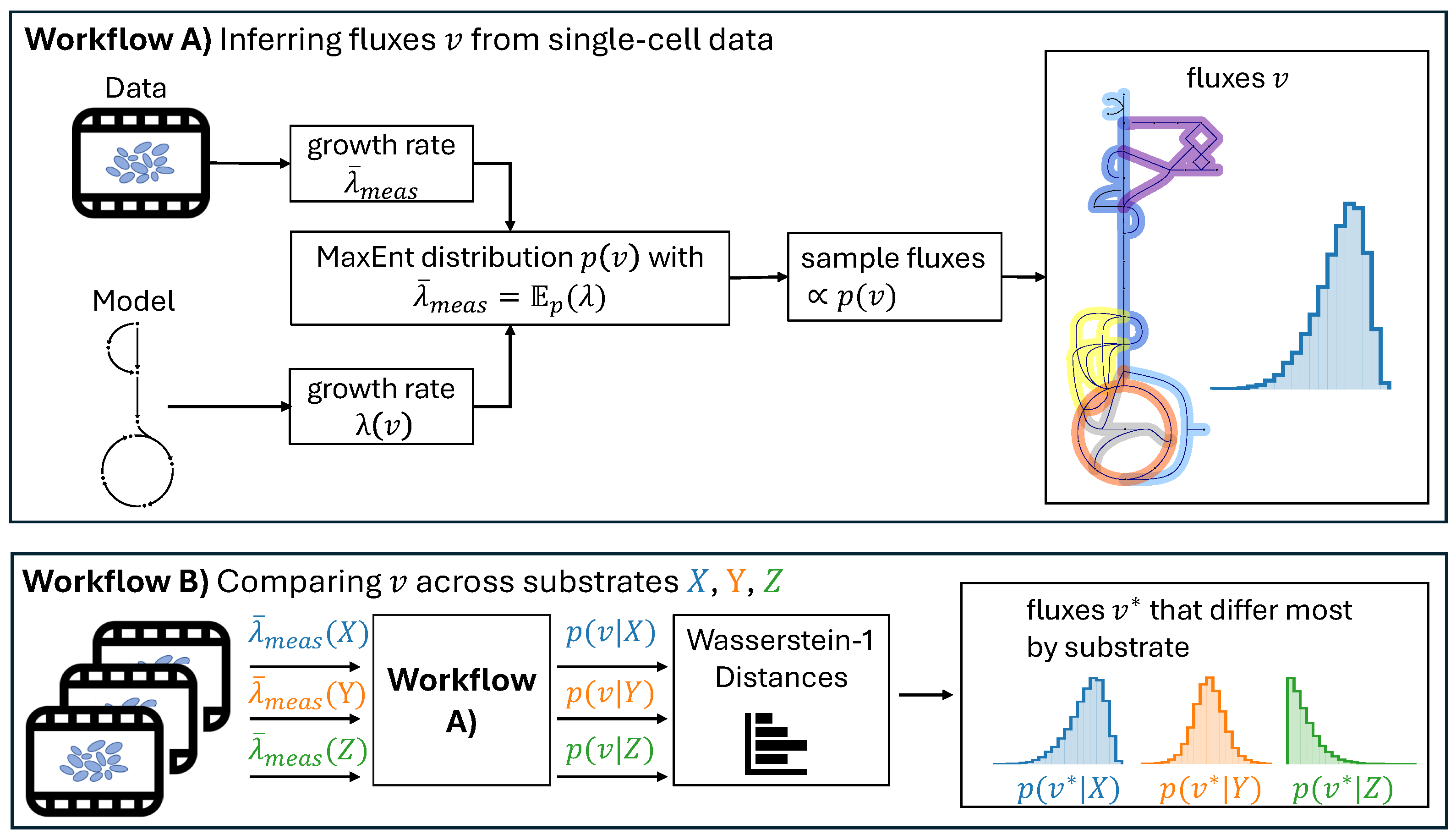 Psf 12 00003 g001 Psf 12 00003 g001