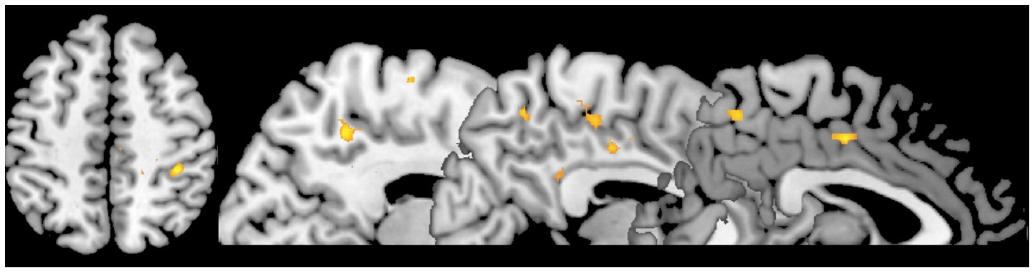Psych 01 00037 g001