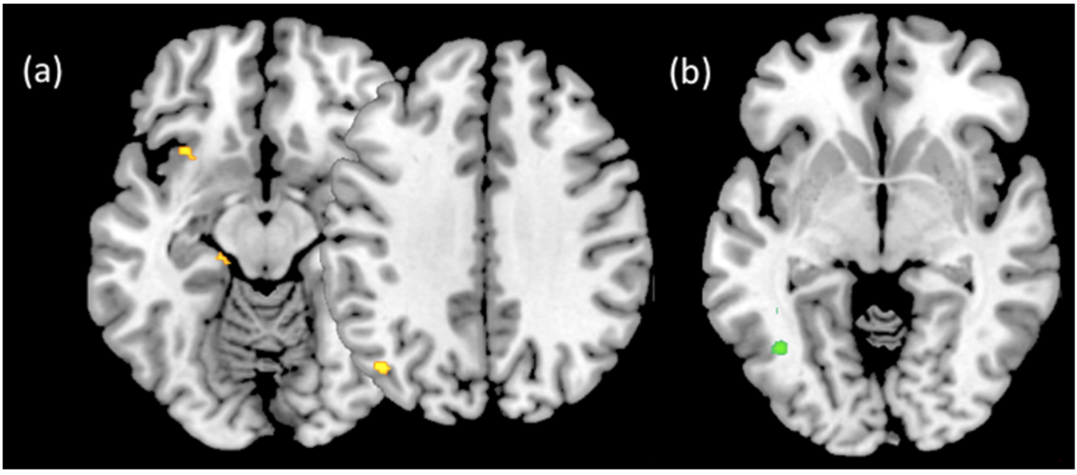 Psych 01 00037 g002