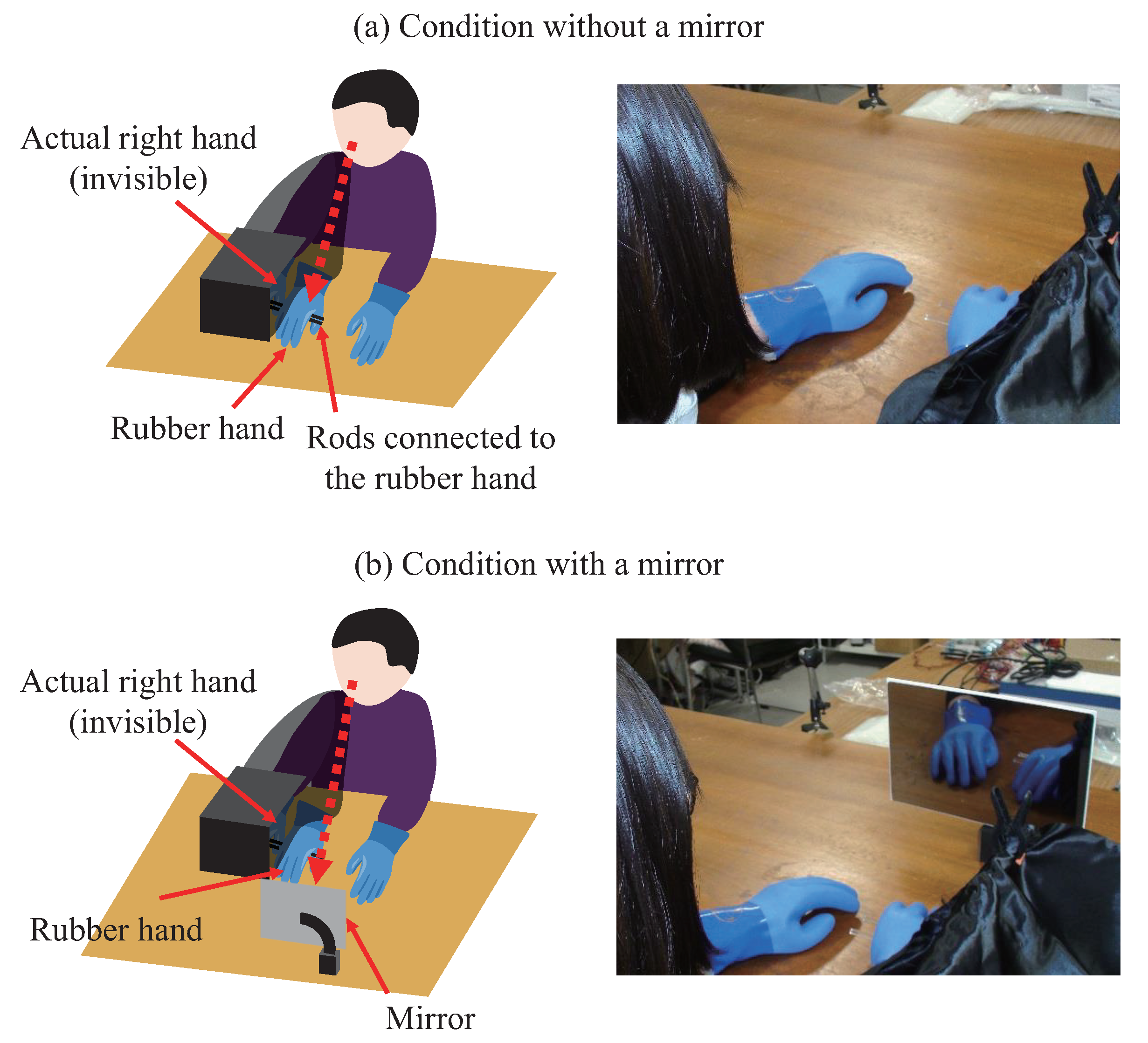 Psych Free FullText SelfBody Recognition through a Mirror Easing