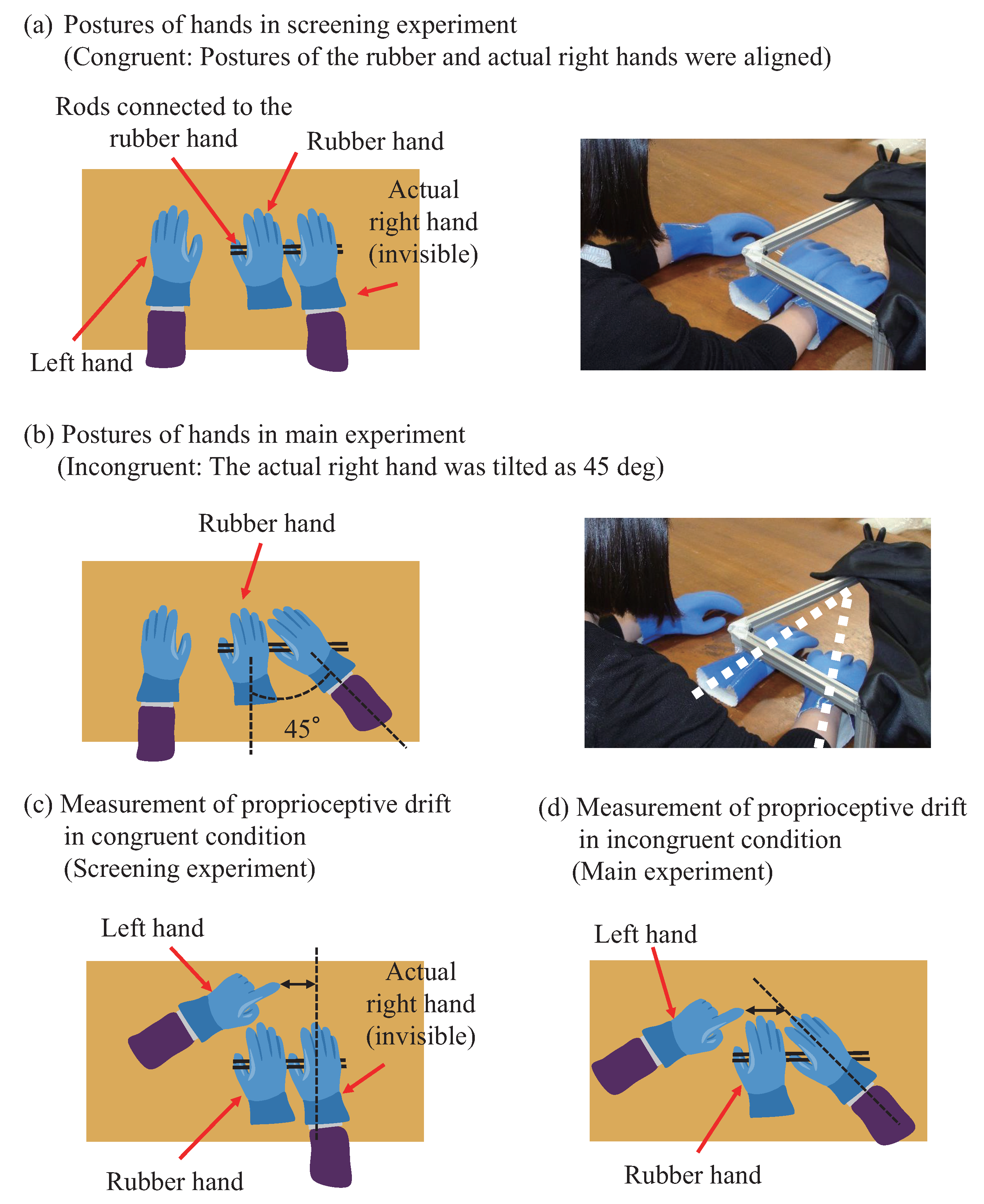 Psych Free FullText SelfBody Recognition through a Mirror Easing